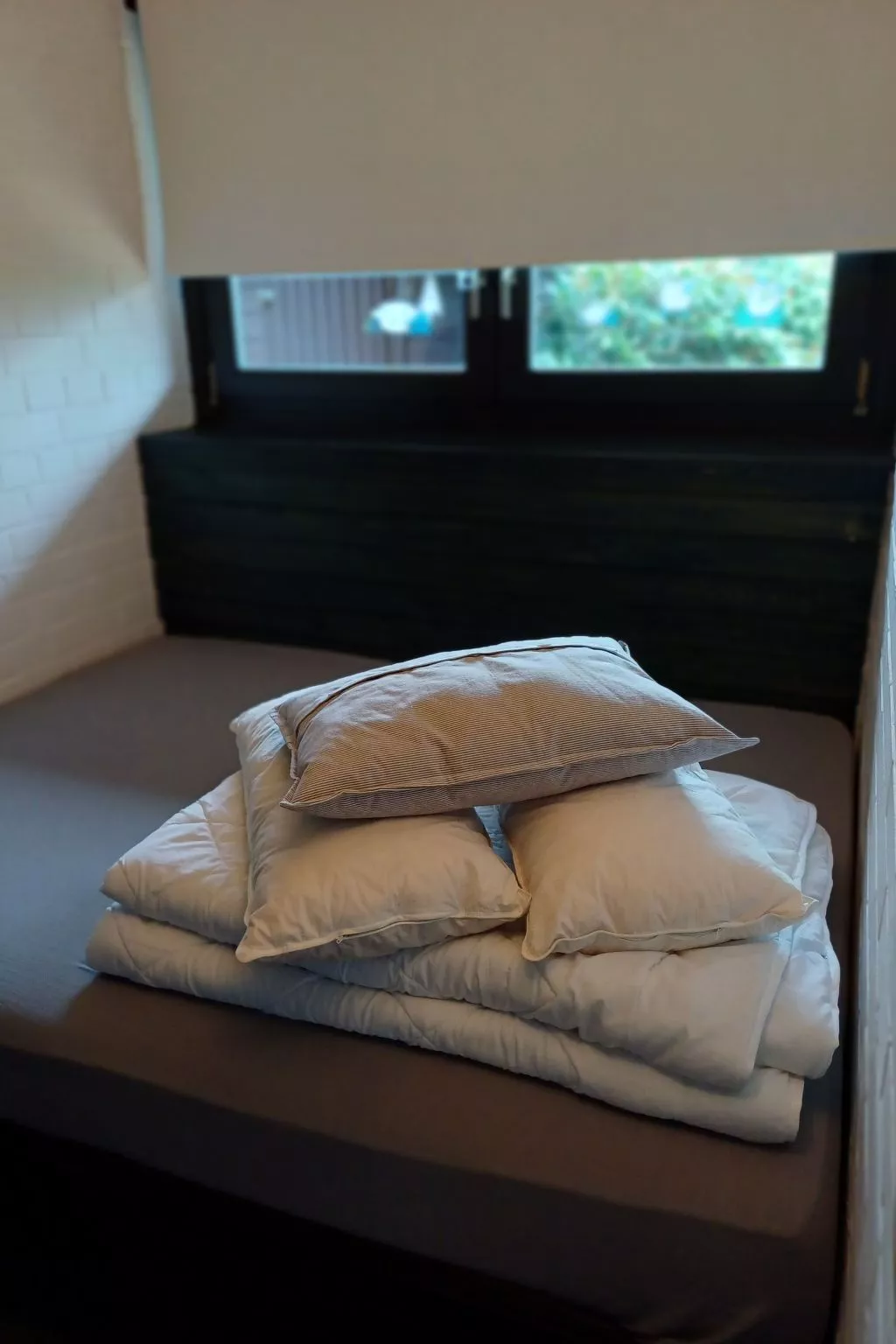 Amselnest-Image-tags.info