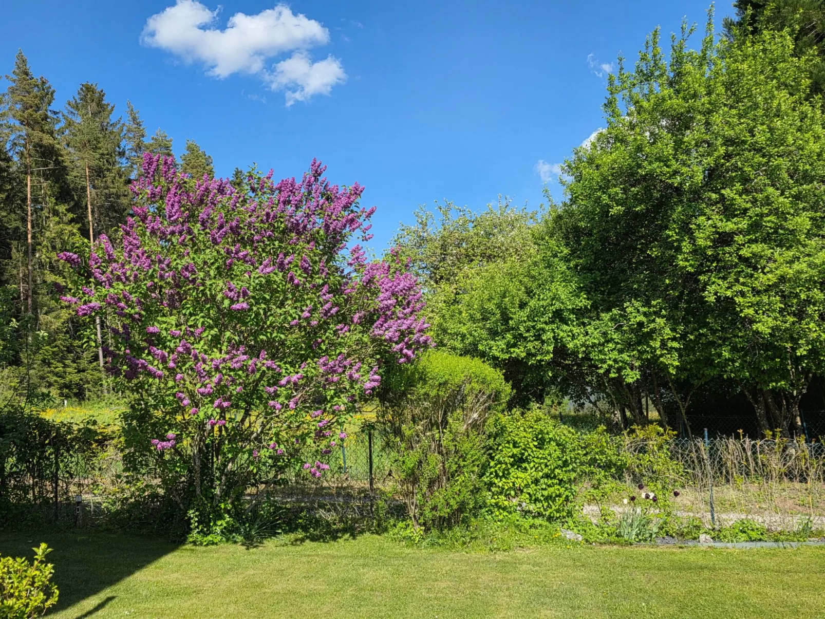 Schwarzwaldglück-Draußen