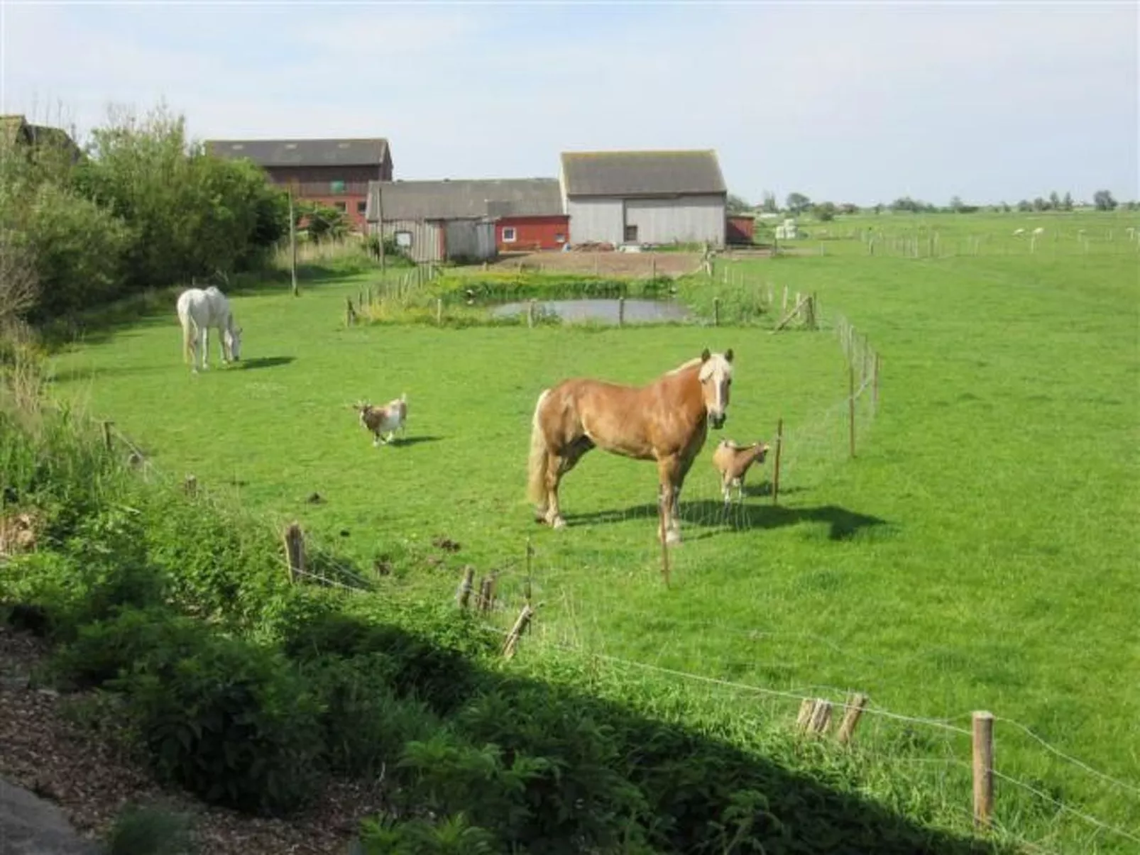 Nice Holidays-Image-tags.info