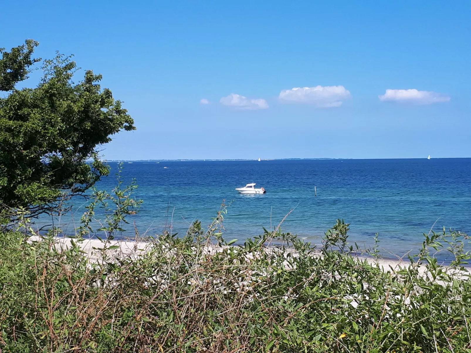 Mit Grill und Garten in Neukirchen-Draußen