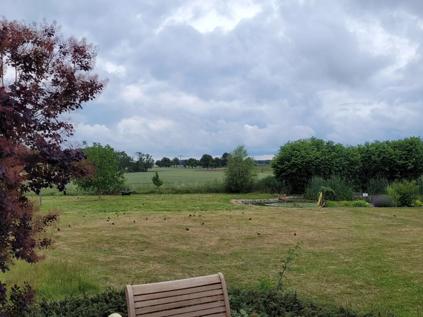 Mit Terrasse-Draußen