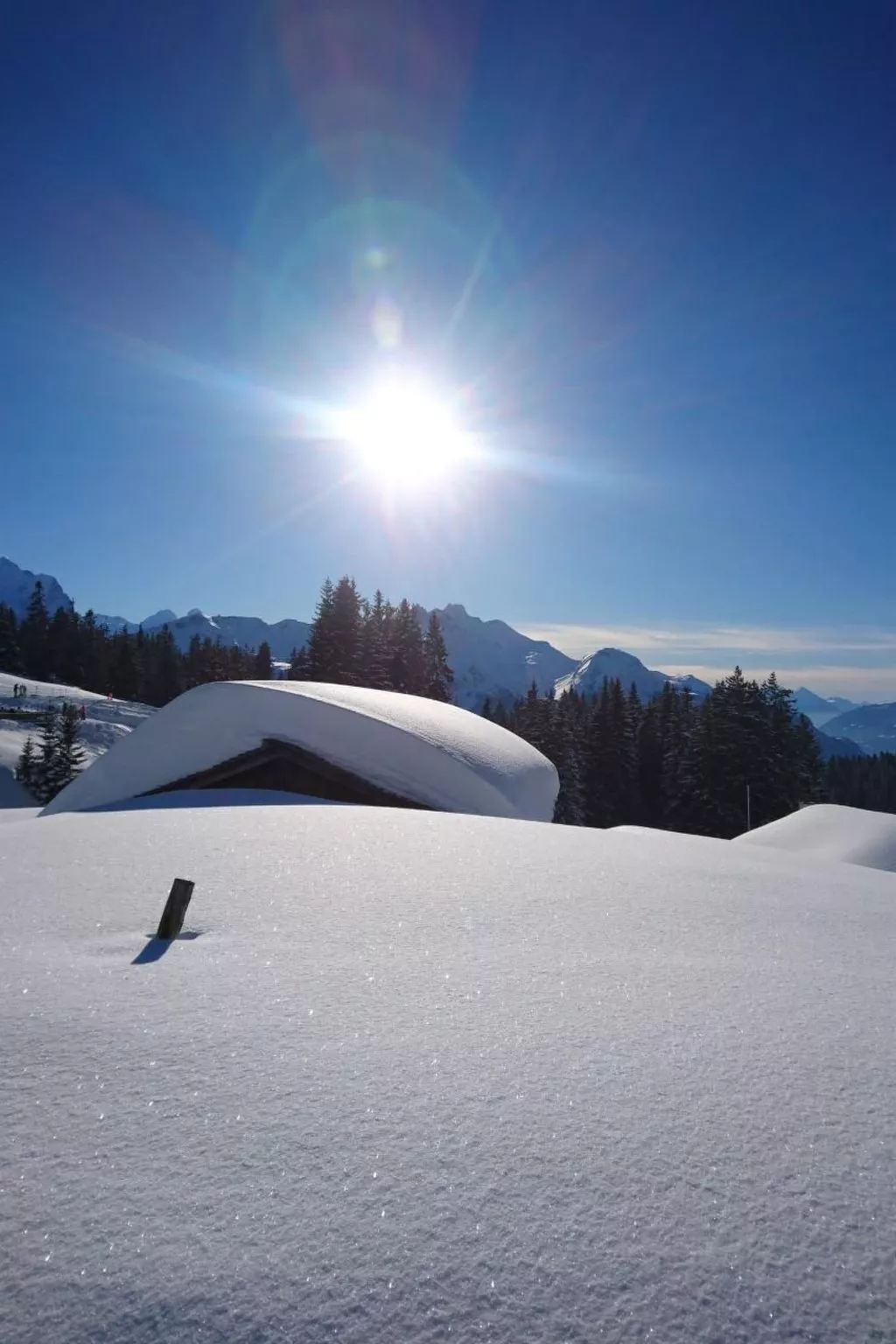 Obererli-Image-tags.info