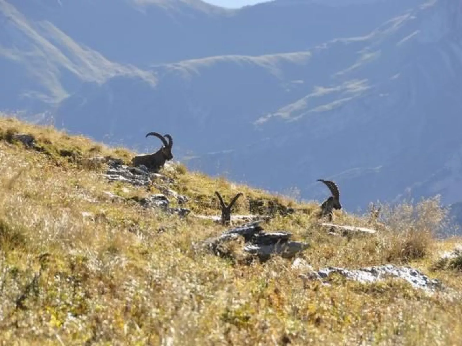 Chäserruggblick-Outside