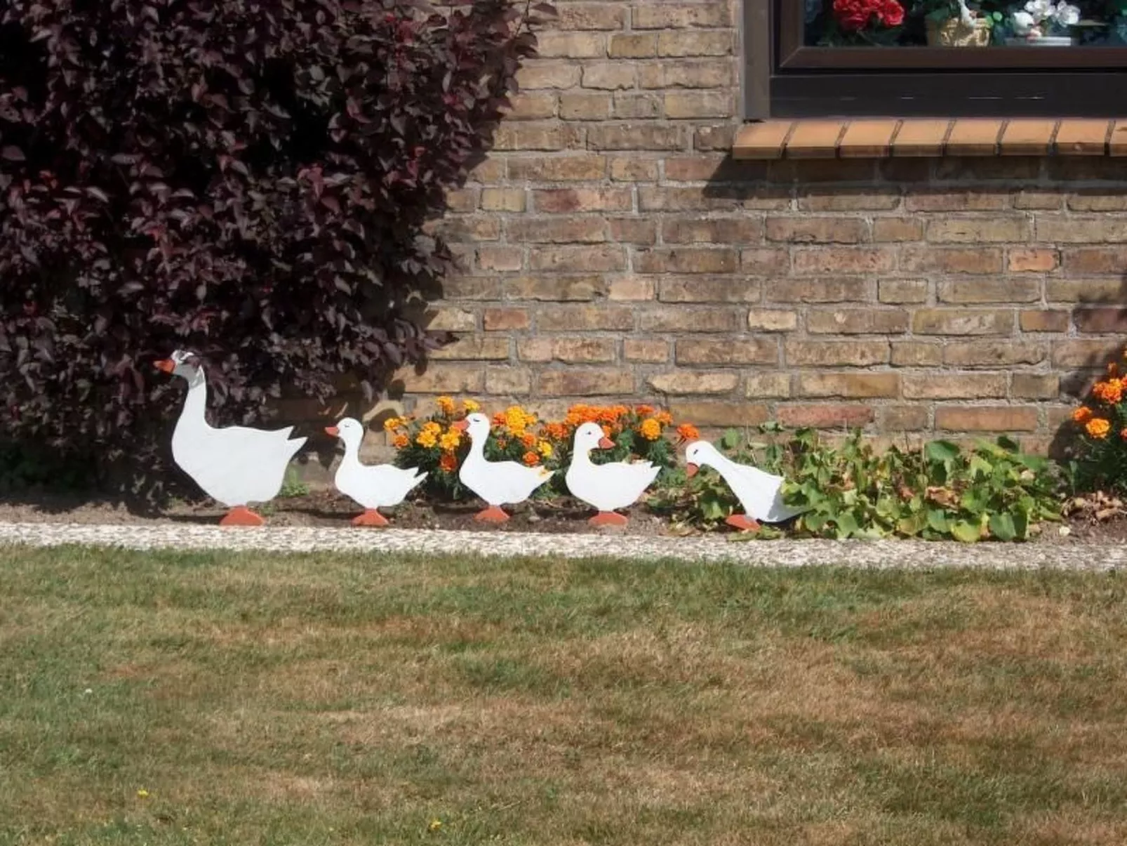 Wohnung Haus mit Herz in Brodersby-Schönhagen-Outside