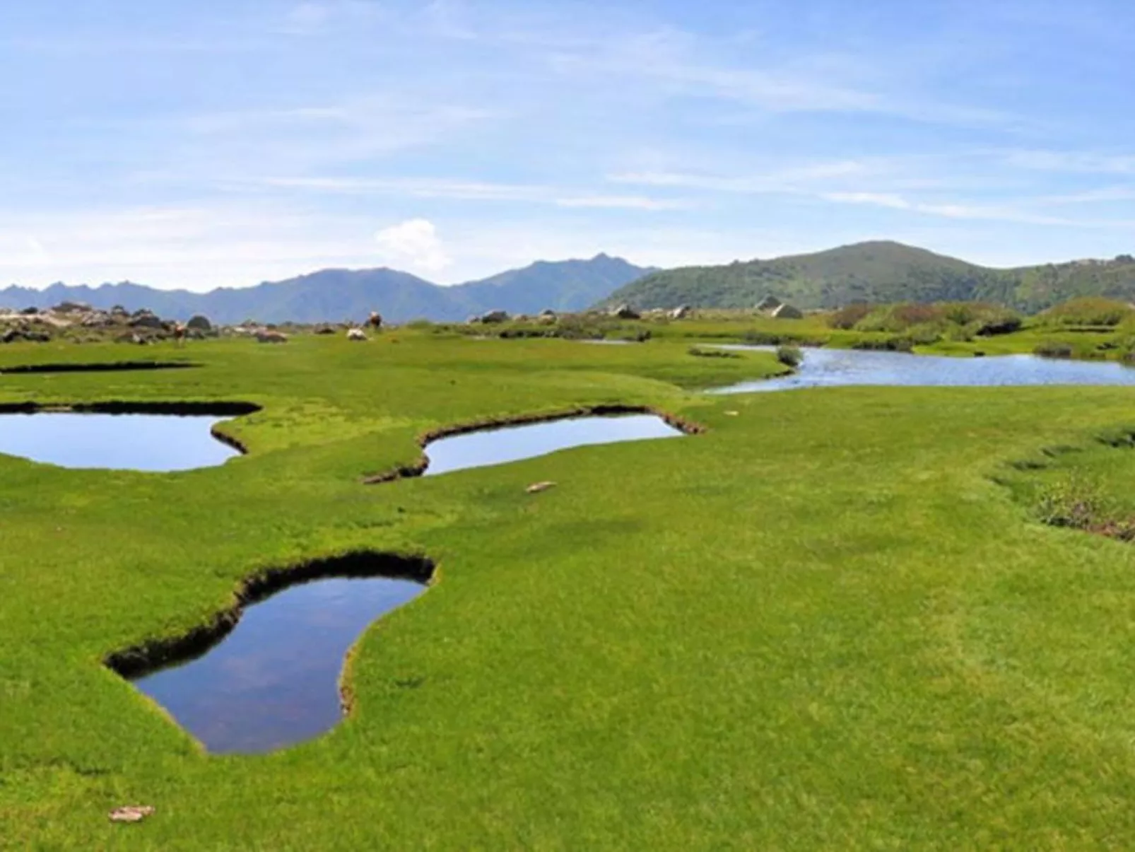 Haus mit Garten, Grill und Terrasse-Draußen