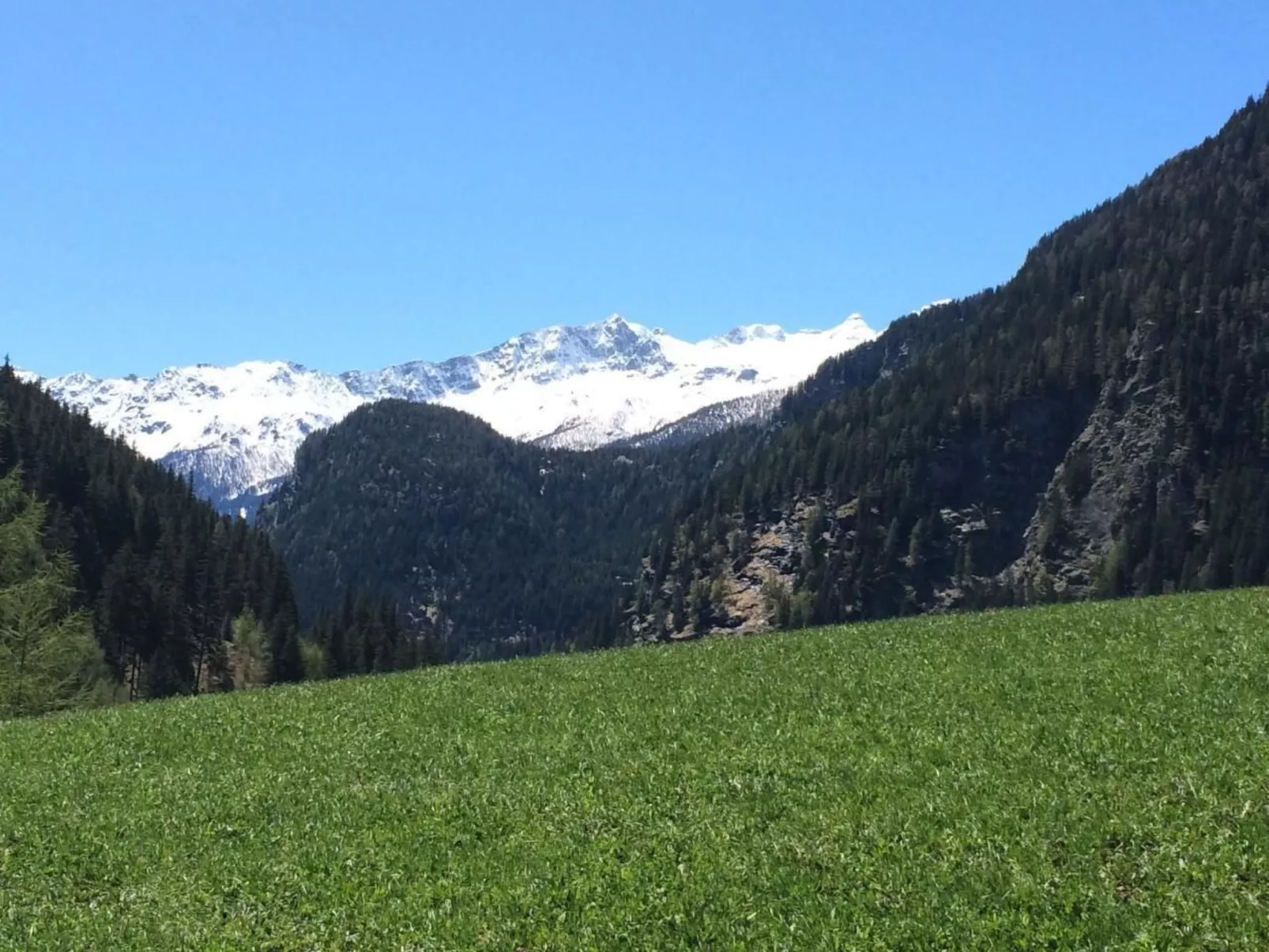 Charmantes 3.5 Zi Rustico-Draußen