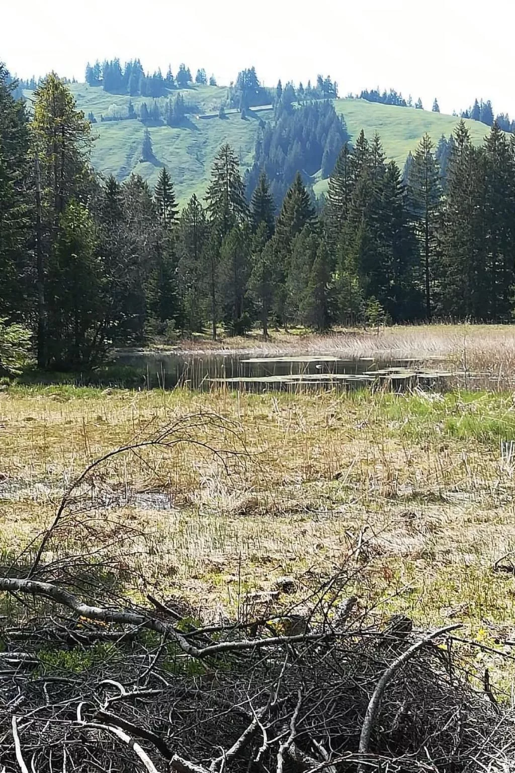 2-Zimmerwohnung Mörlialp im Wander- und Skigebiet-Draußen