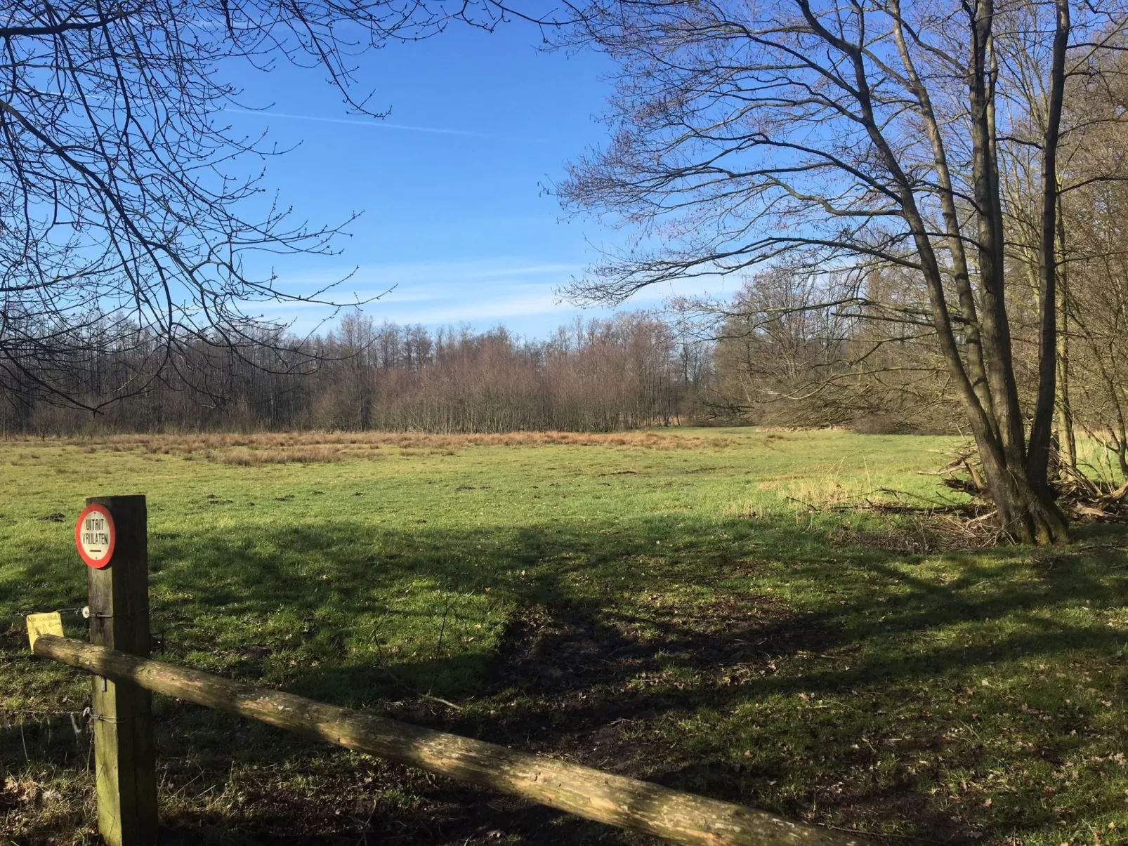 Geräumiges Ferienhaus mitten im Wald-Dehors