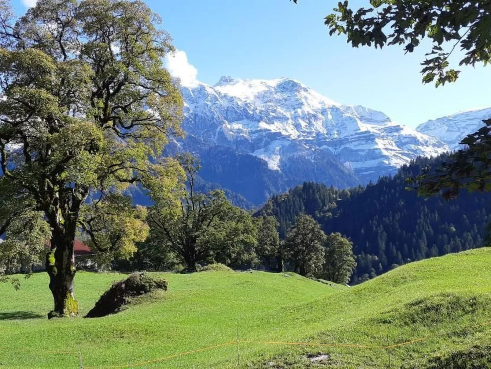 Rietberg 8 Braunwald-Draußen