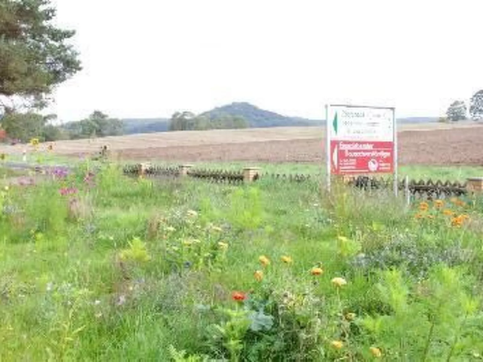 Gästehaus Kühne-Draußen