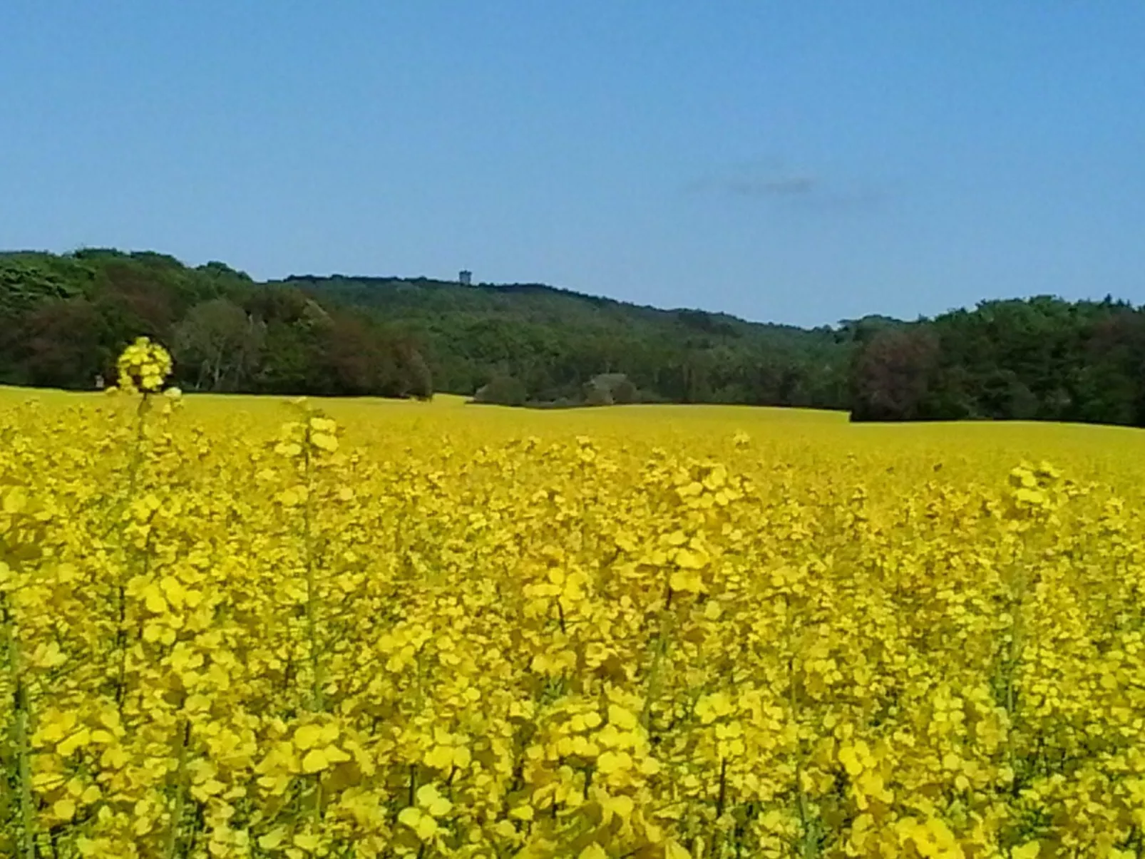 Domizil für zwei-Dehors