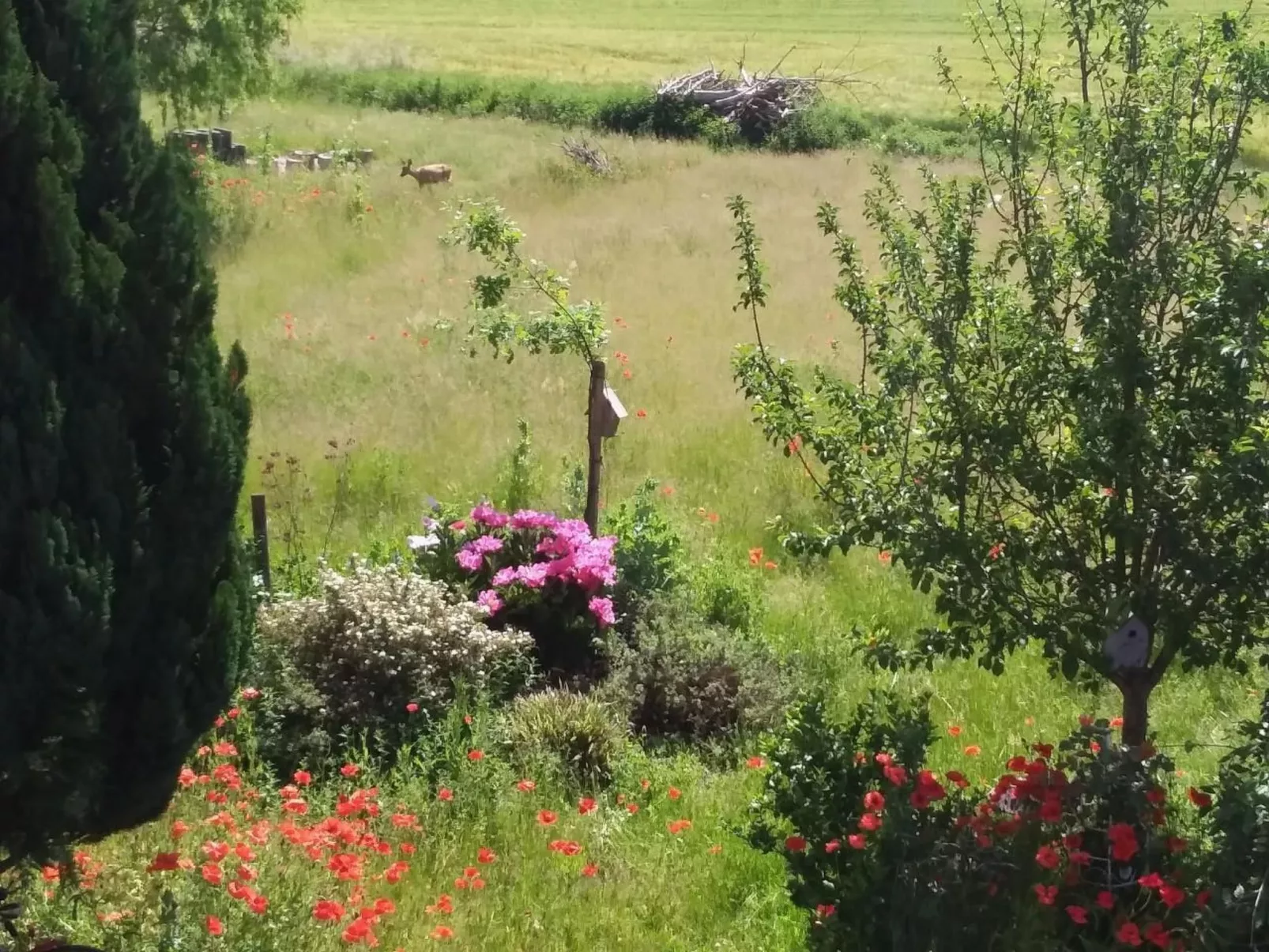 Schwalbennest-Outside