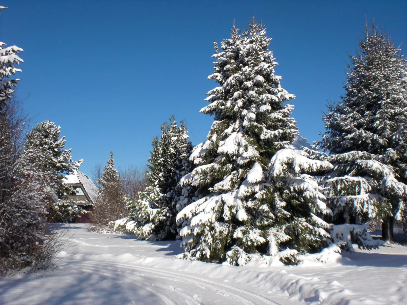 Haus Robinson-Outside