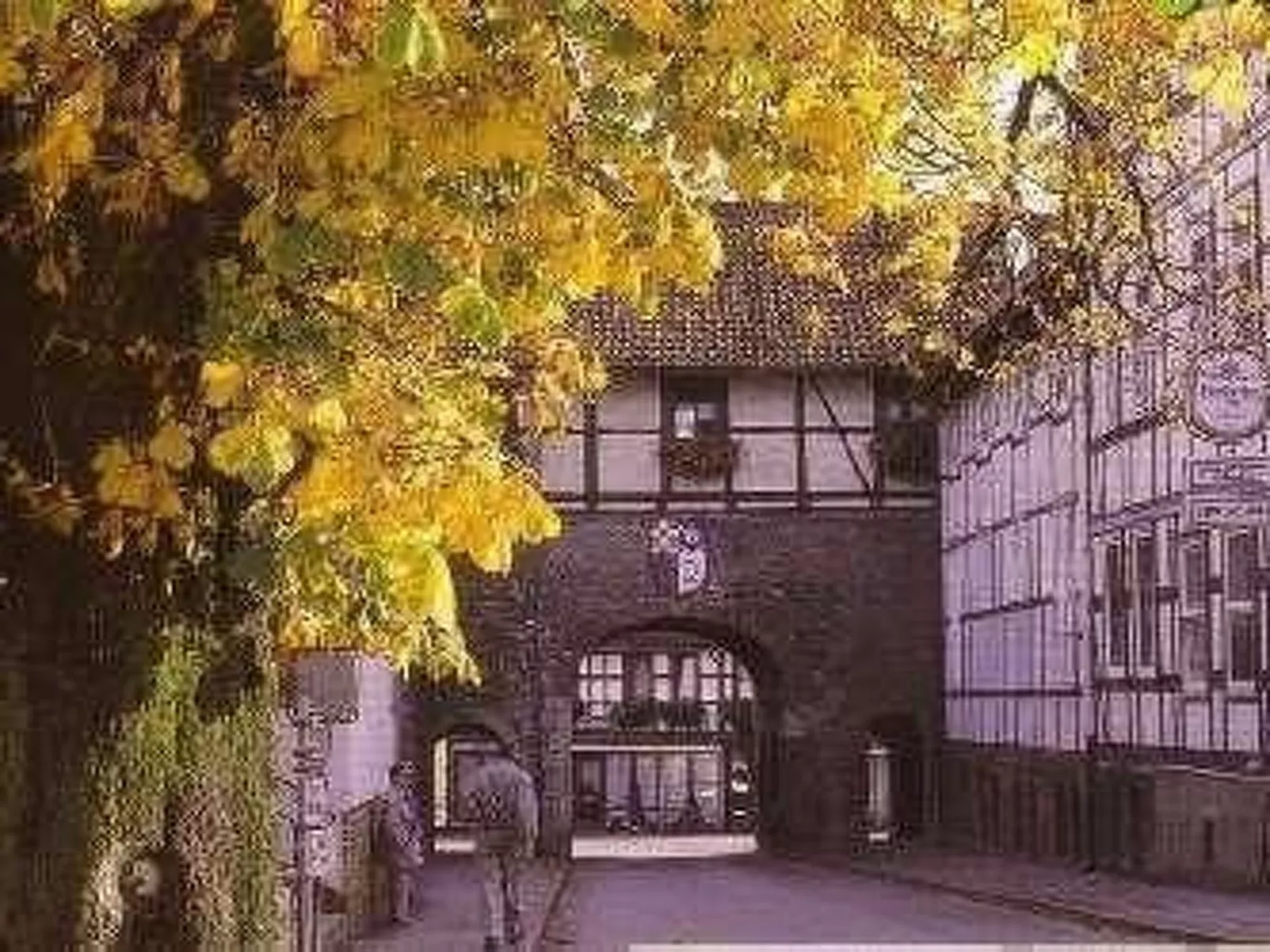 Fewo Stricker 23-Draußen