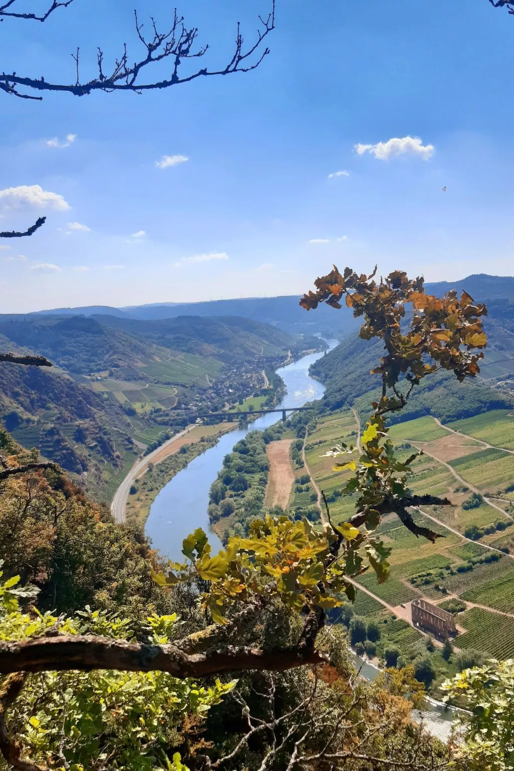 Landhaus Erika-Dehors