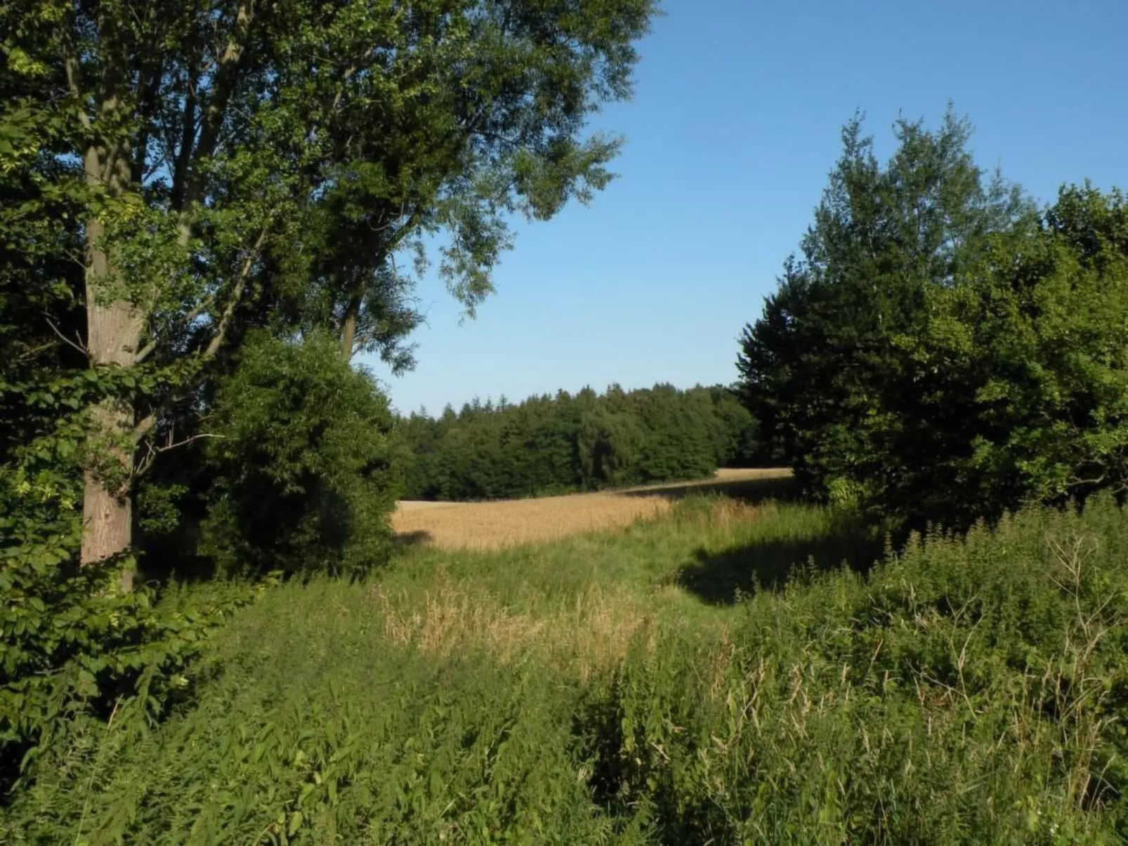 Hof Rodenkrog Fewo 1-Dehors