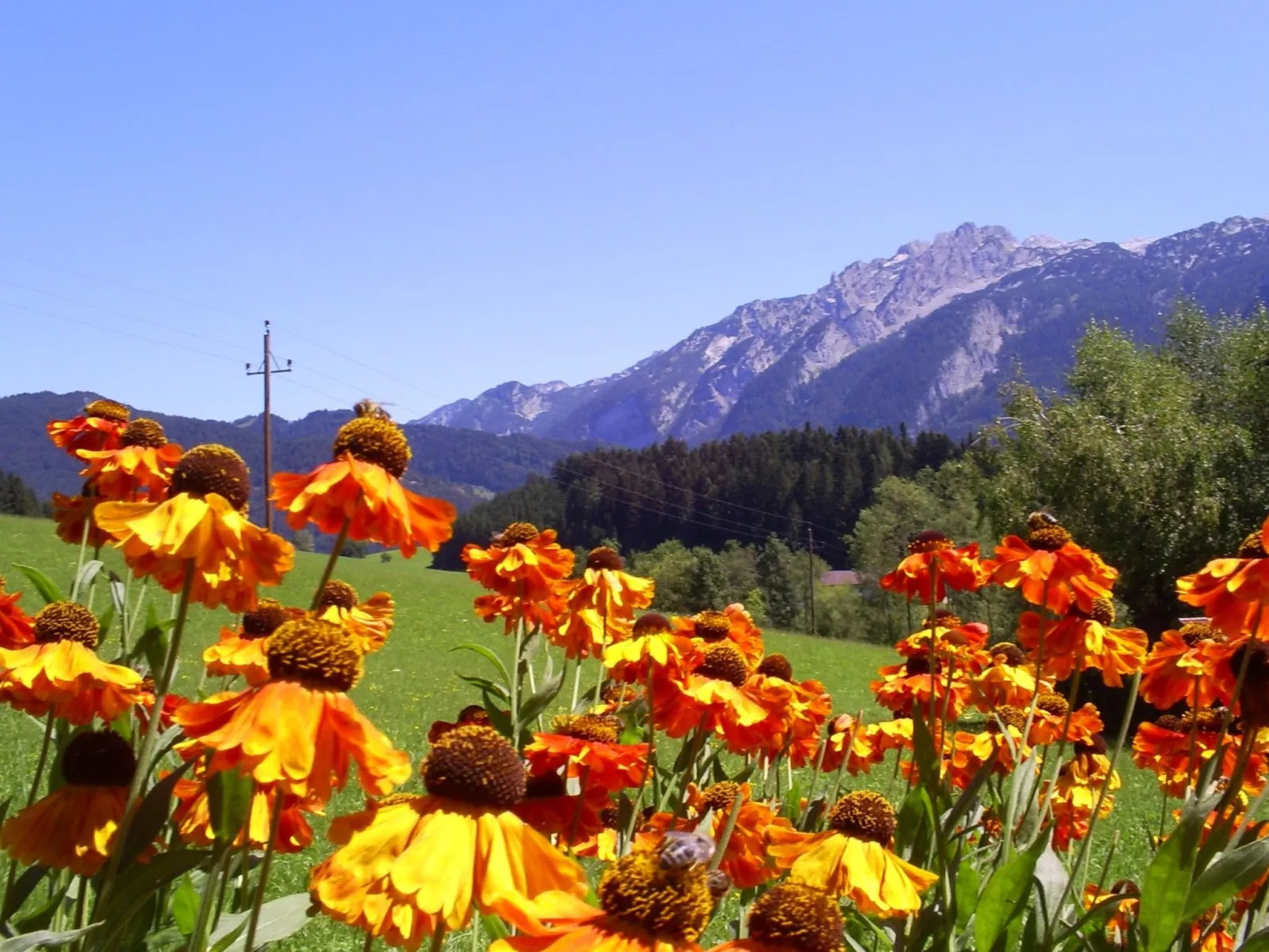 Gsenger Natur in Abtenau-Draußen