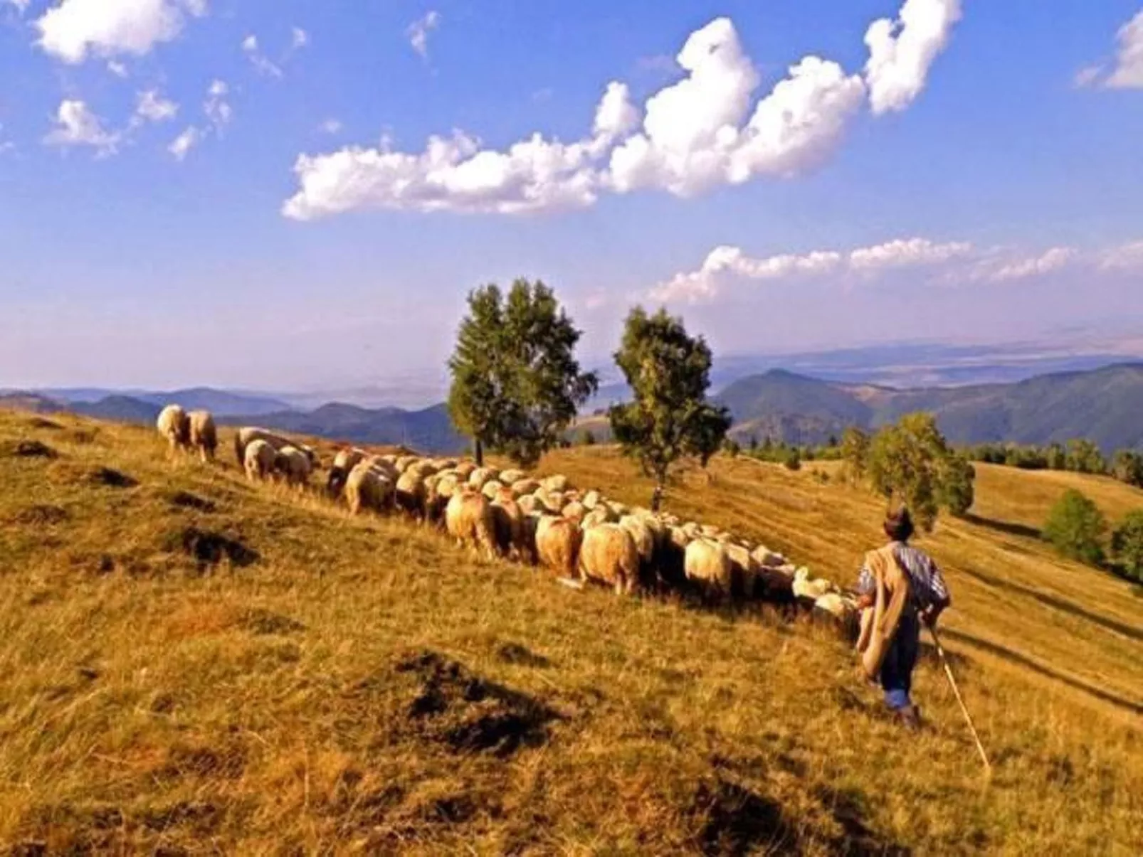 Casa Zollo - nahe den Karpaten Transsilvaniens-Outside