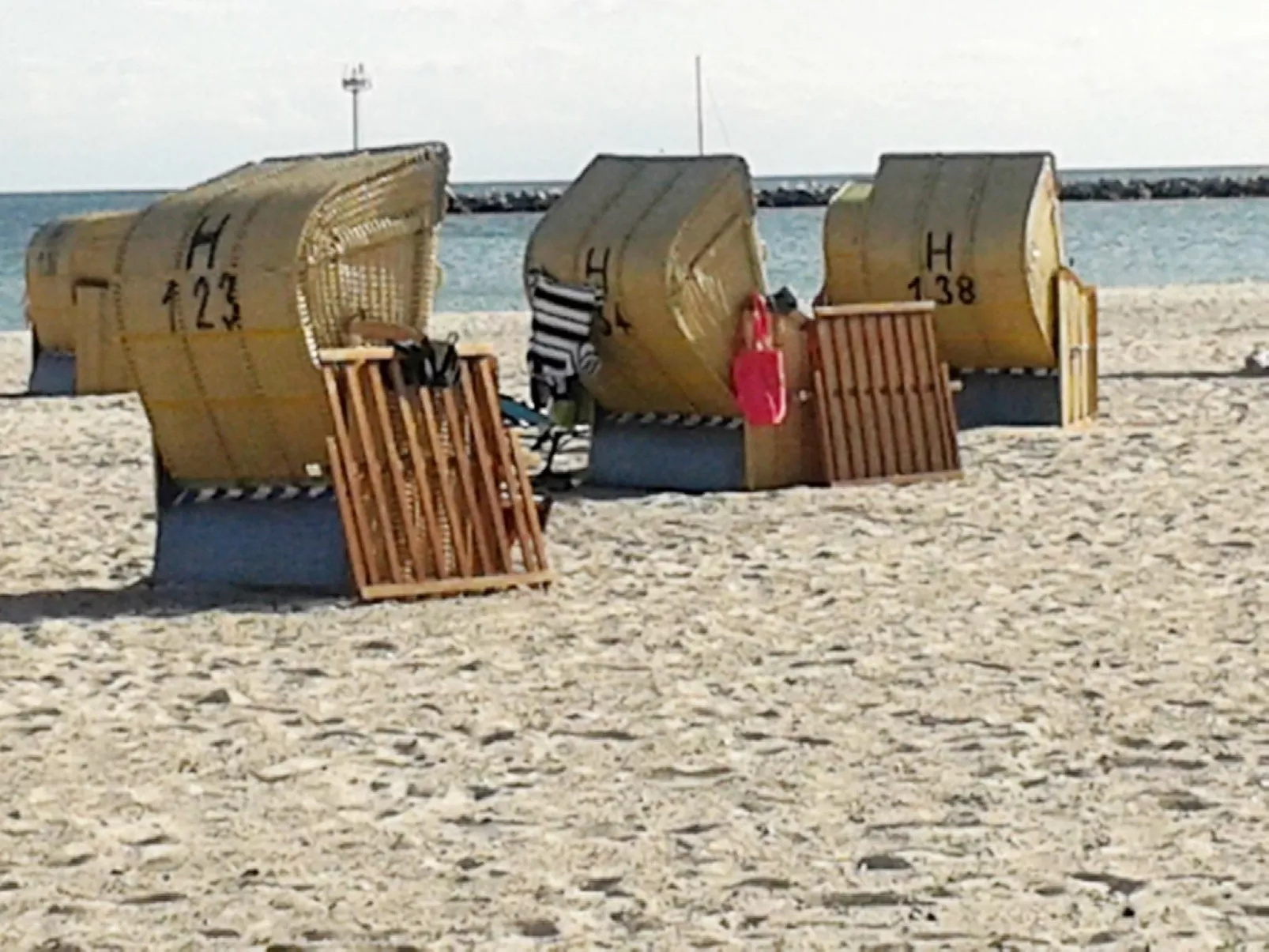 Silbermöwe-Draußen