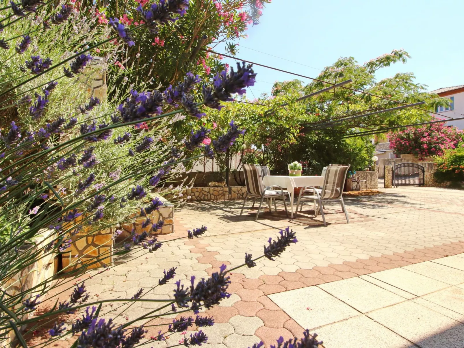 Apartment Radosna-Image-tags.info