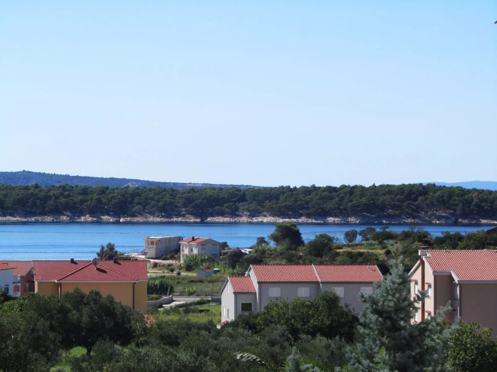 NR.2  SANDRA - APP 4-Image-tags.info