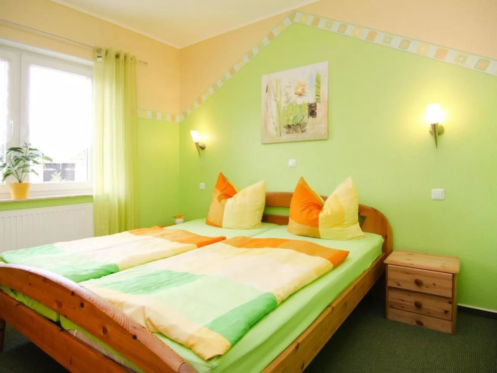 Albatros-Image-tags.info