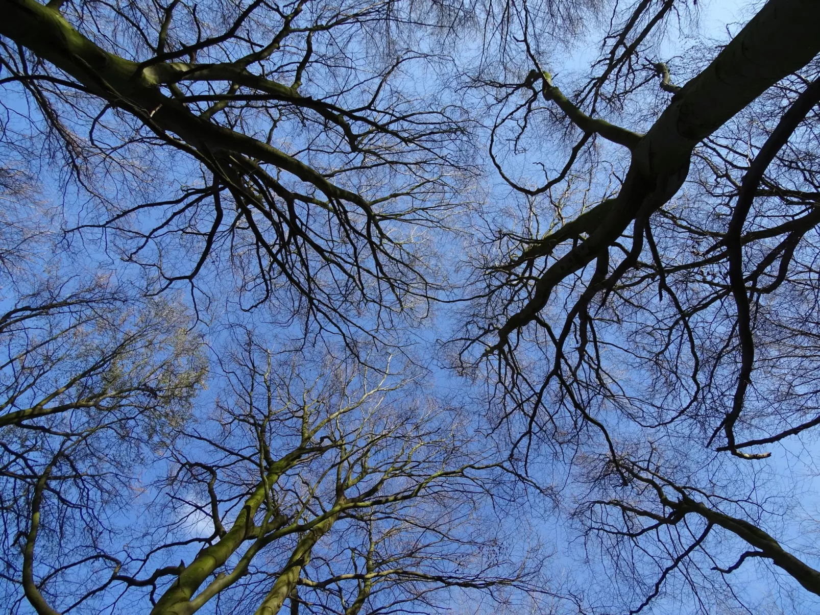 Ferienwohnung-Outside