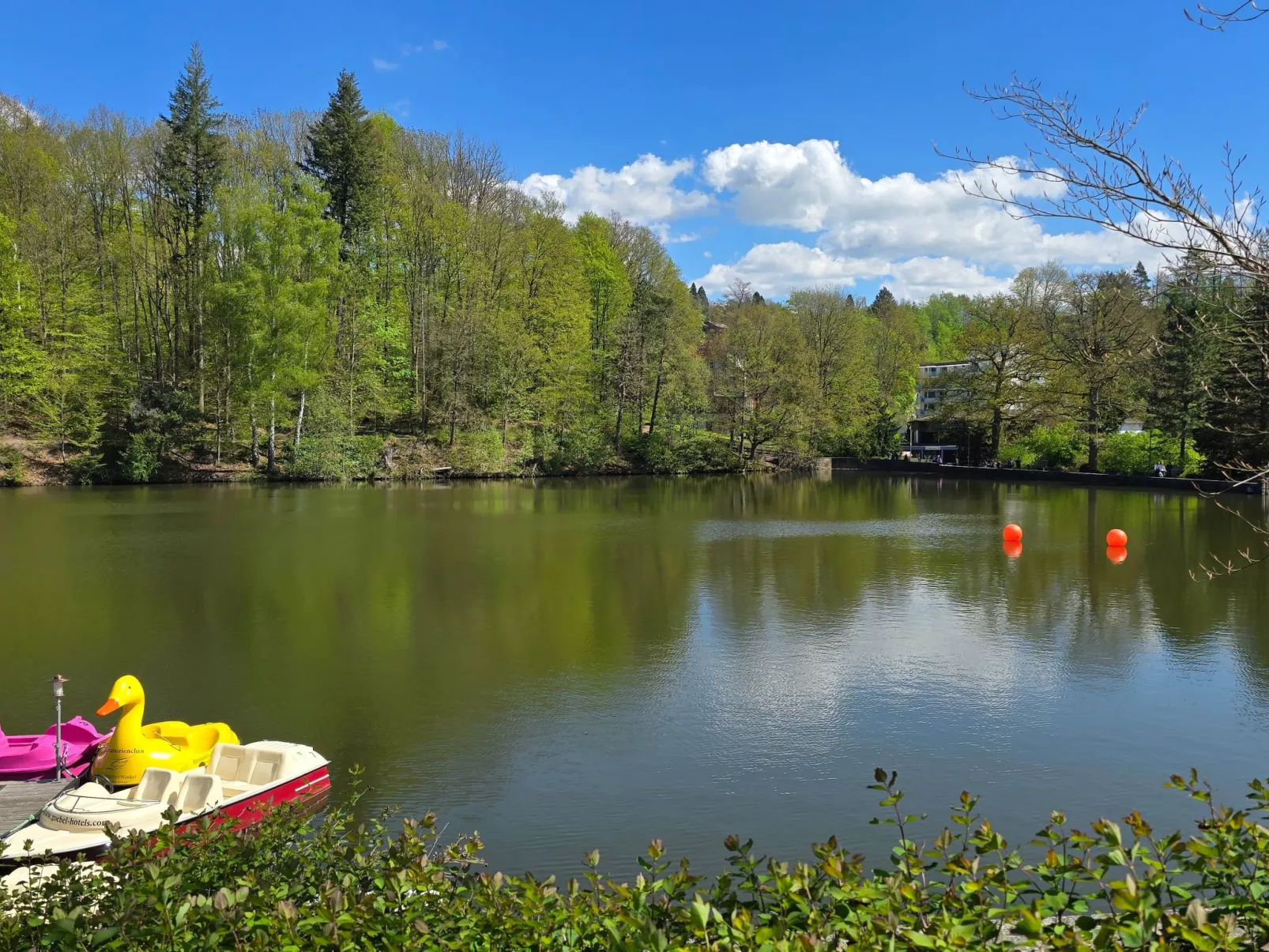 WALDLIEBE ♡-Dehors