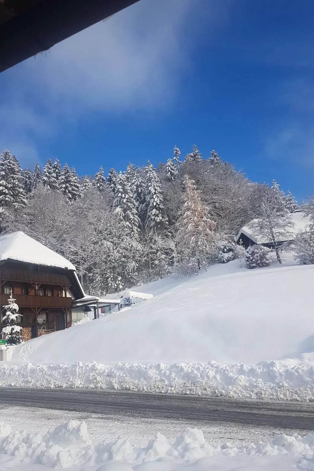 Kuschelnest Oase-Outside