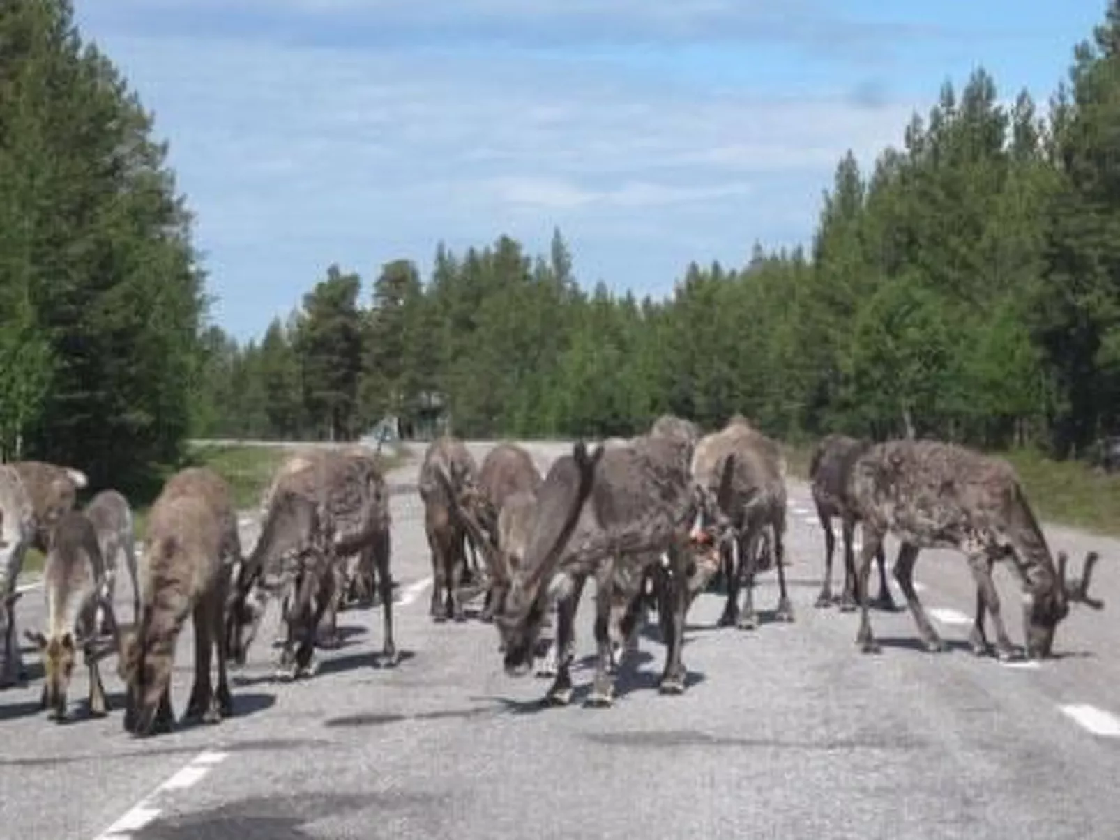 Haus-Lappland-Dehors