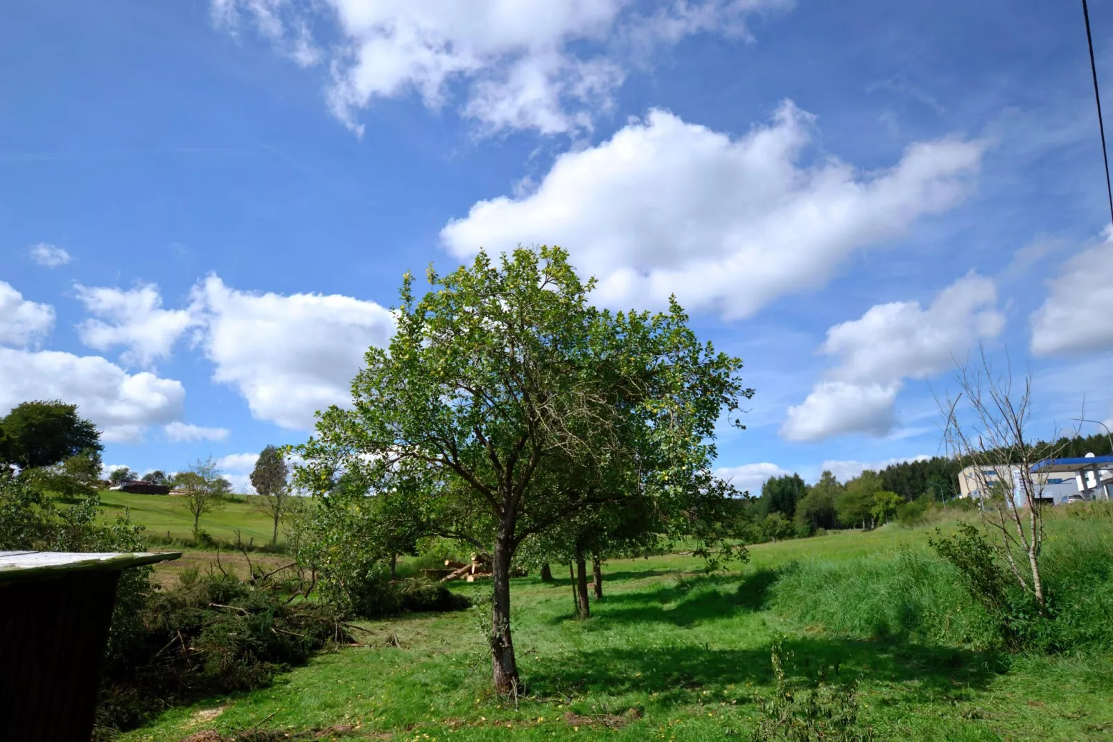 Enjoy IV-Gebiete Sommer 1 km