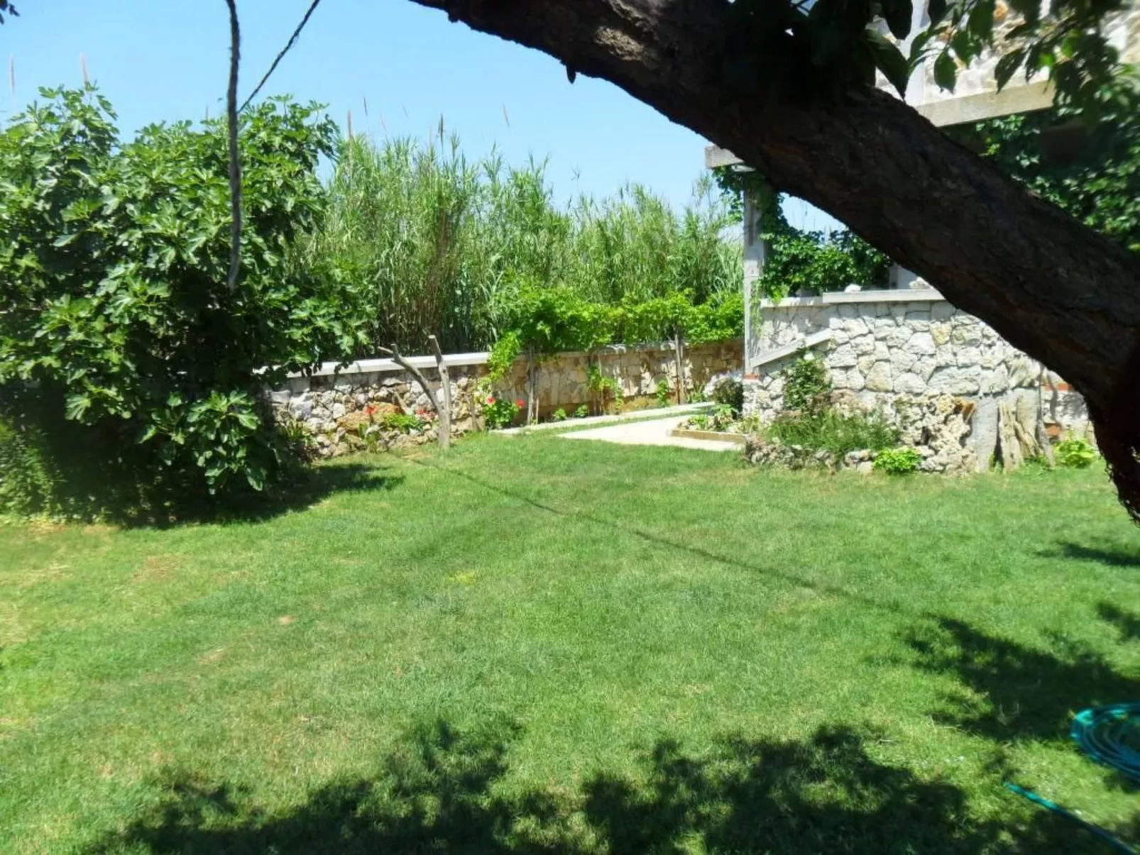 Wohnung Delfin mit Meerblick - TA Leut Agency-Image-tags.info