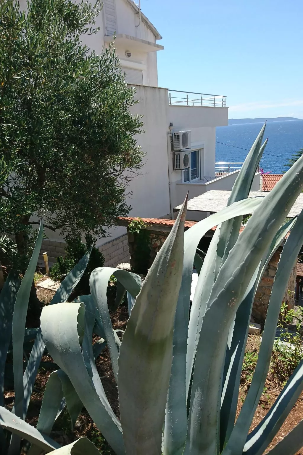 "Maya 1" mit Blick auf das Wasser-Dehors