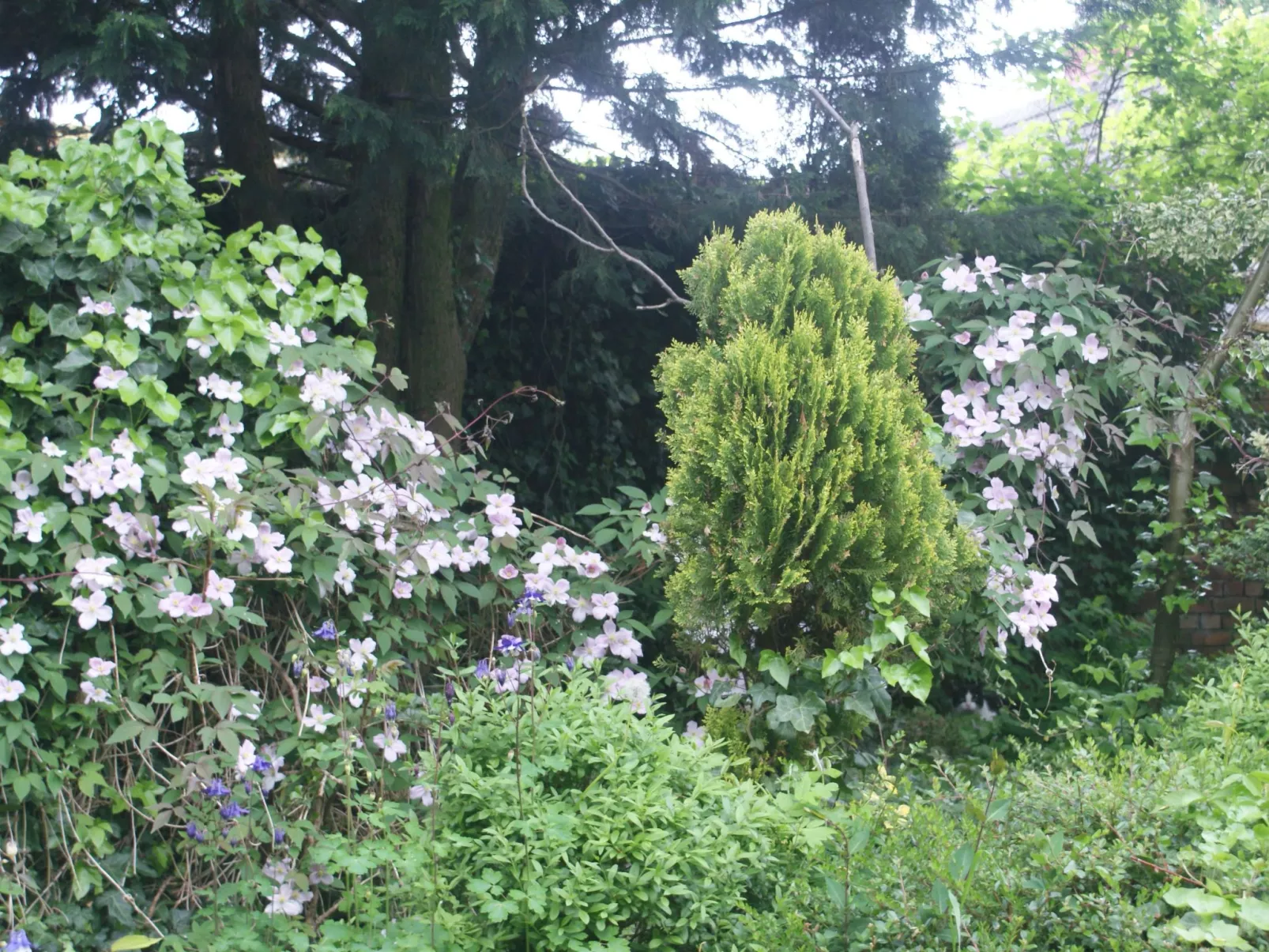 Meeresdorf Stille - Ferienhäuser in den Gärten von Magra-Draußen