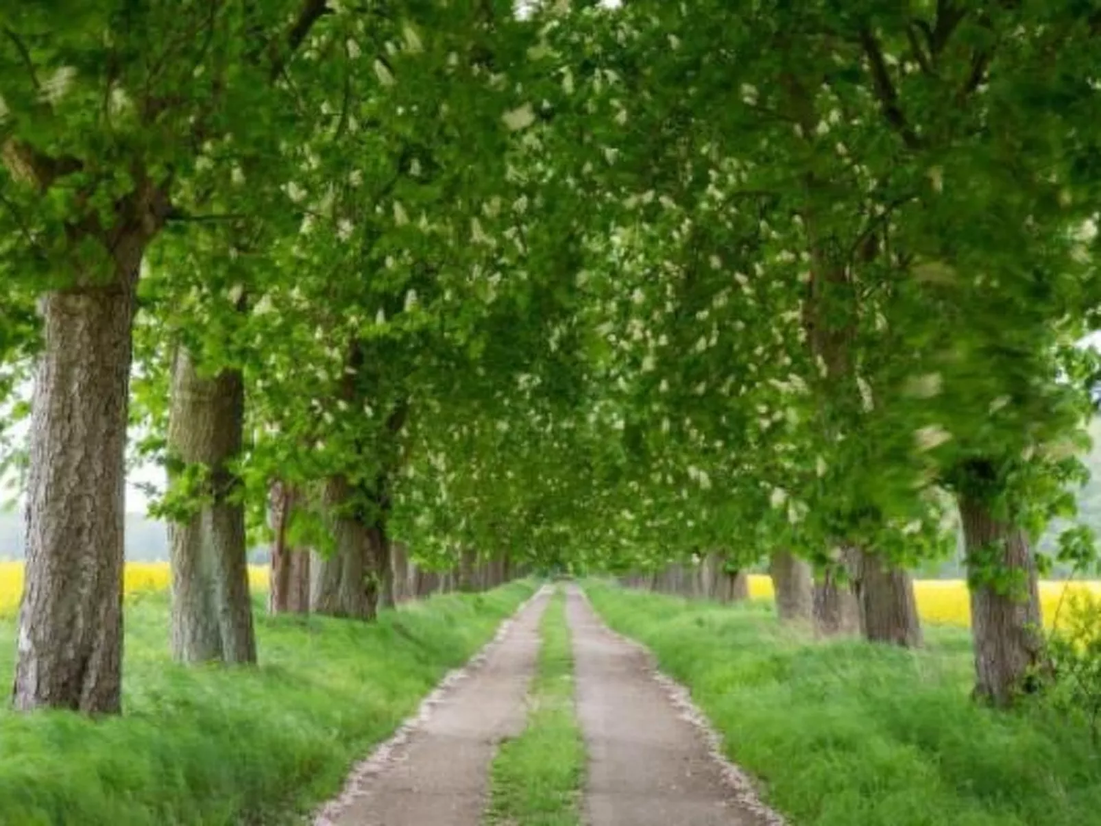 Müritzblick35-Outside