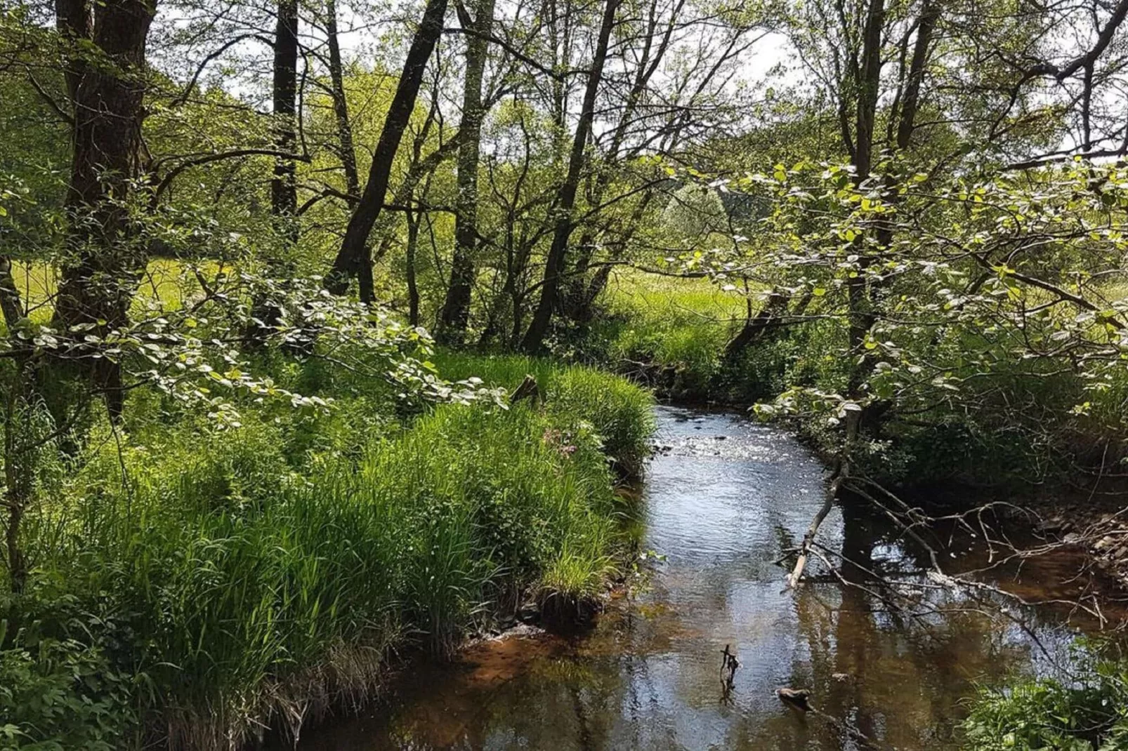 Boerenhof I-Areas summer 5km