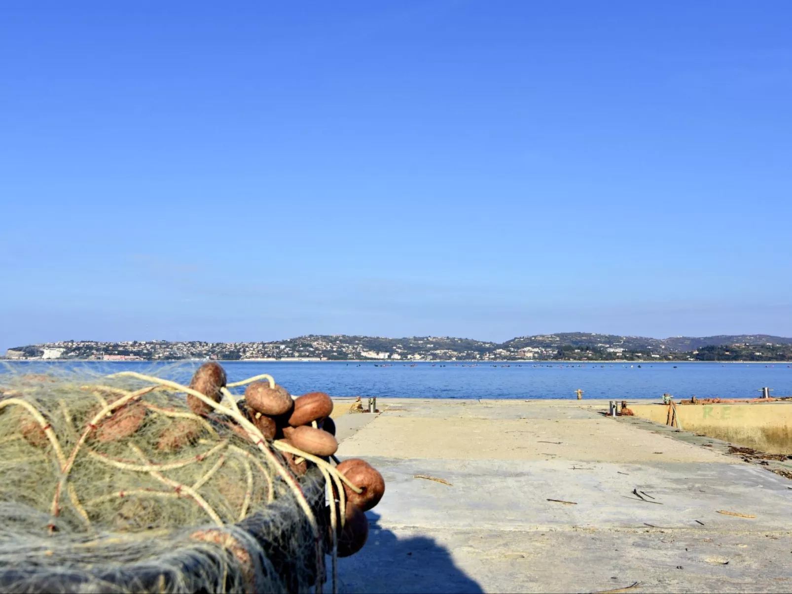 ALBINA STUDIO 5-Image-tags.info