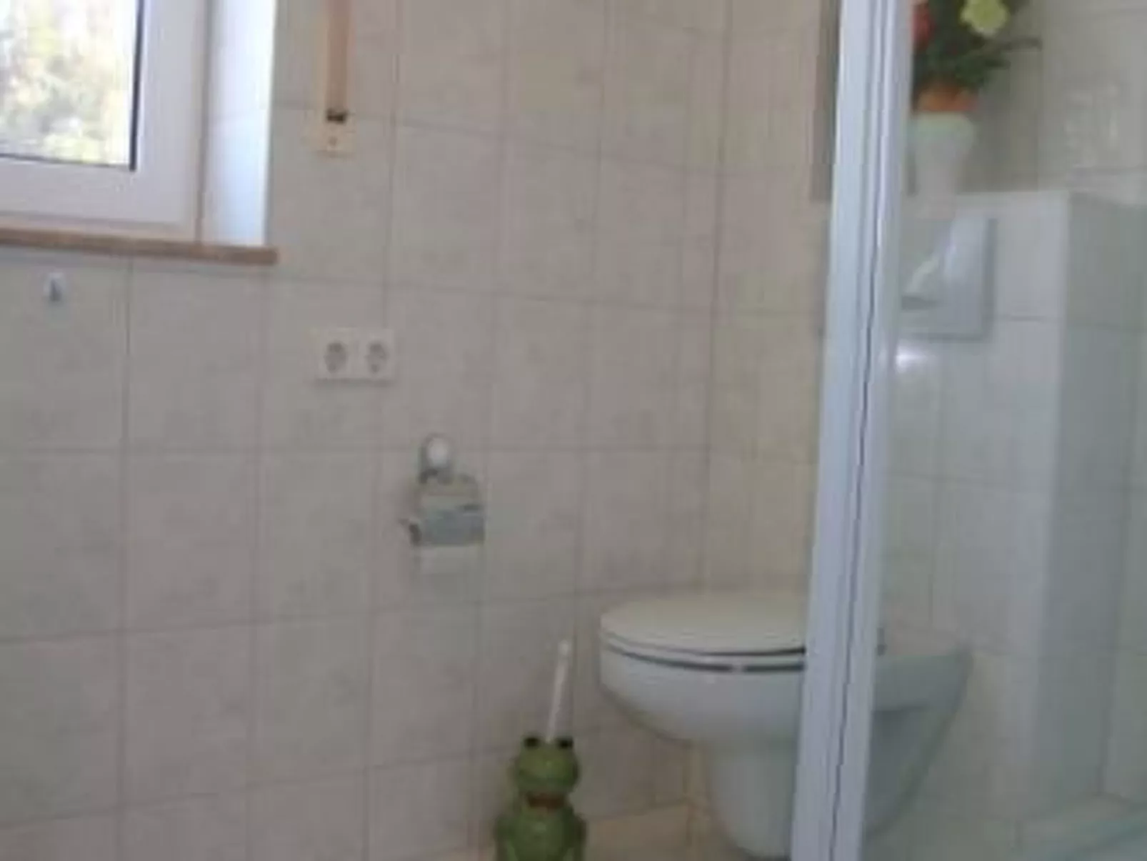 Froschhaus-Image-tags.info