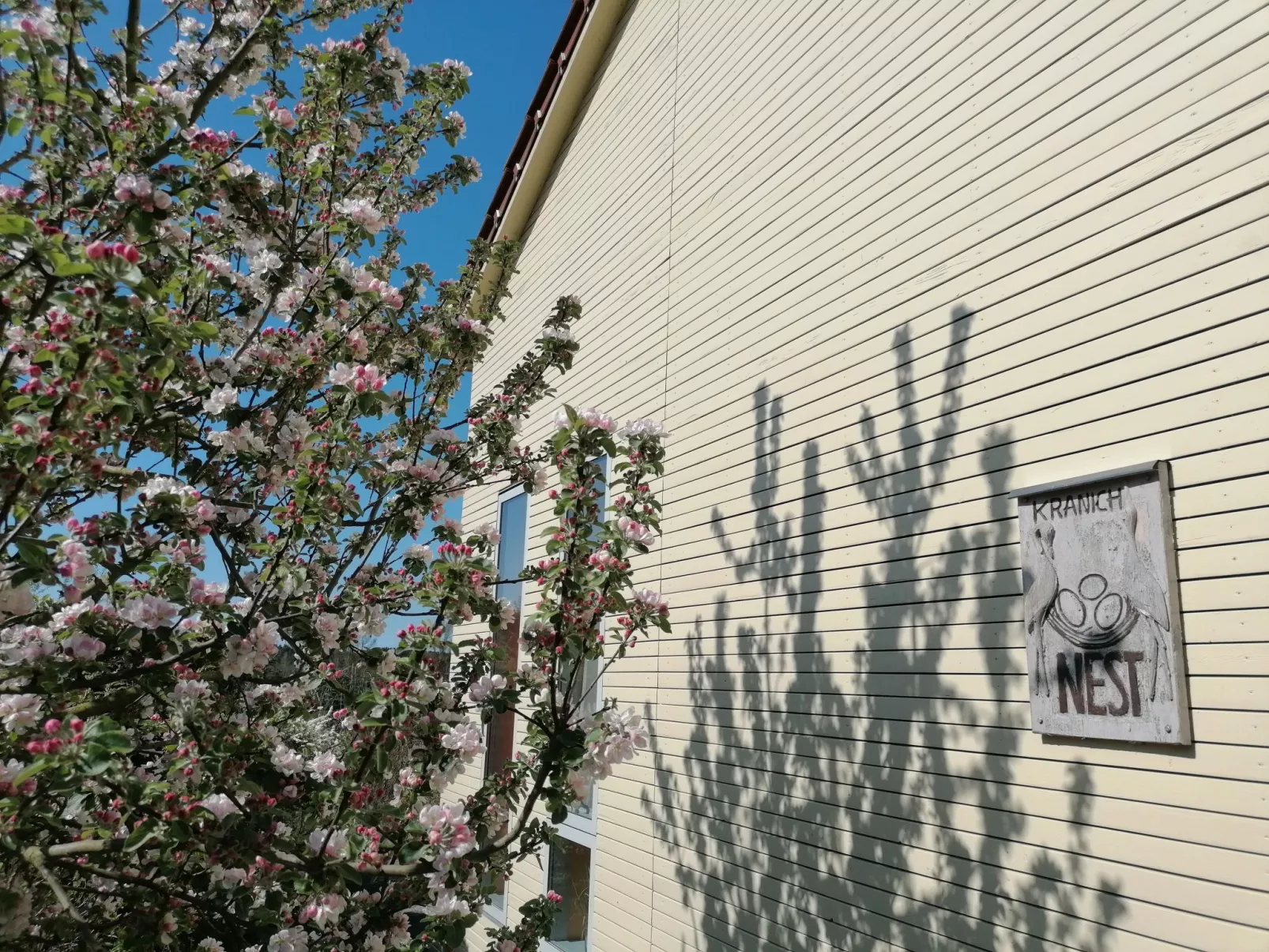 Kranichnest-Draußen