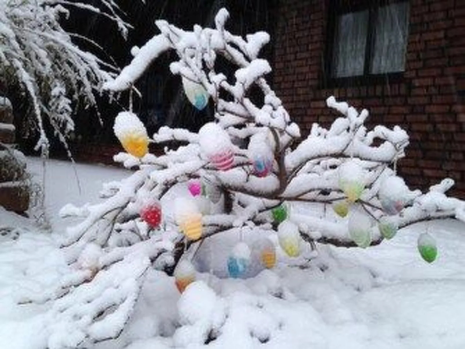 Mit Balkon in Sellin-Dehors