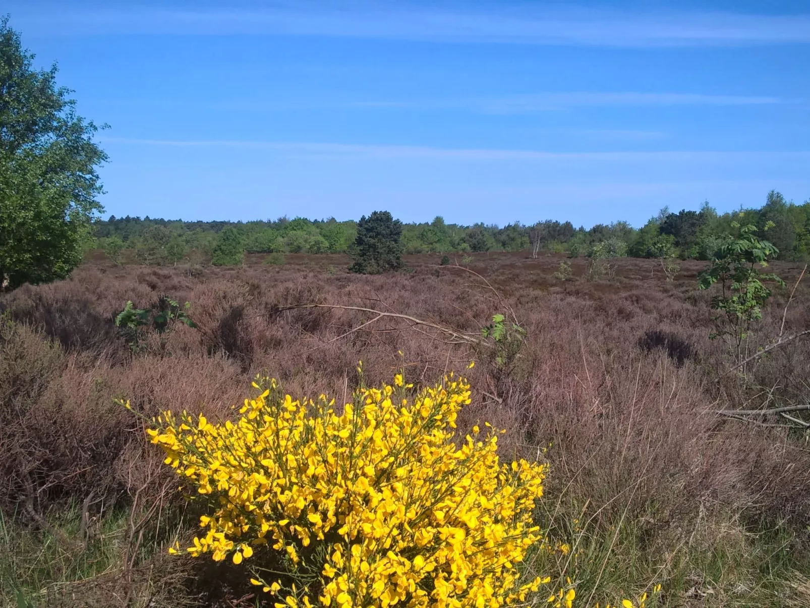 Gemütliche Ferienwohnung für zwei Personen mit sonniger Südterrasse-Draußen