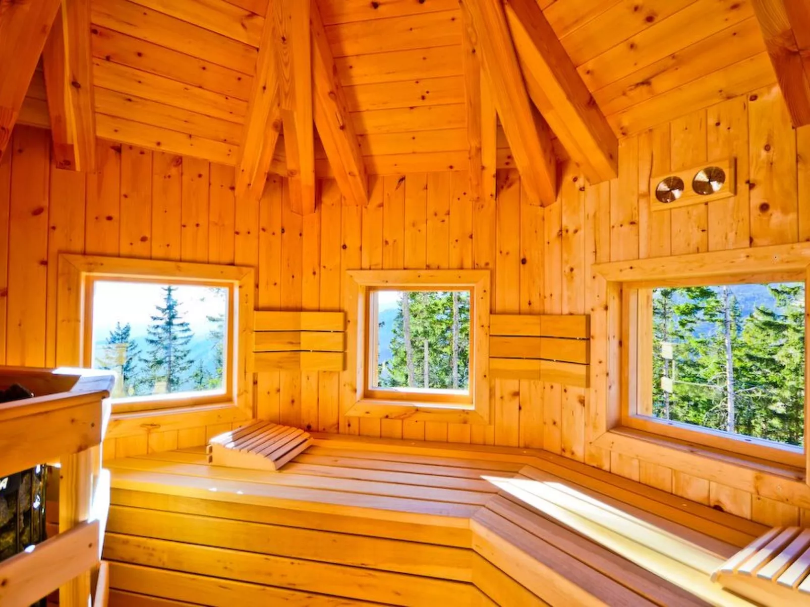 Das Almhaus in Bad St. Leonhard im Lavanttal-Draußen