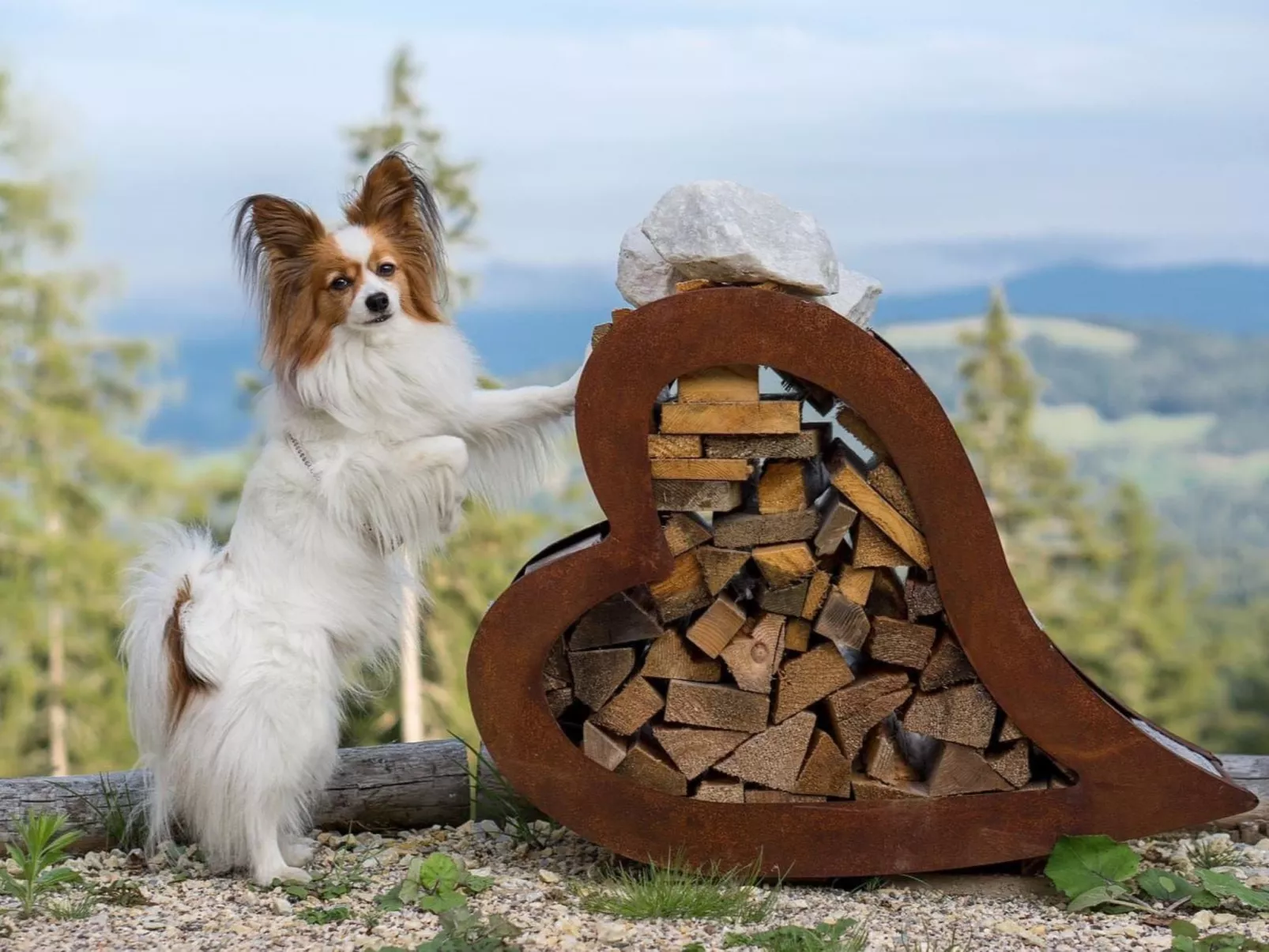 "Die Berghex'n "-Dehors