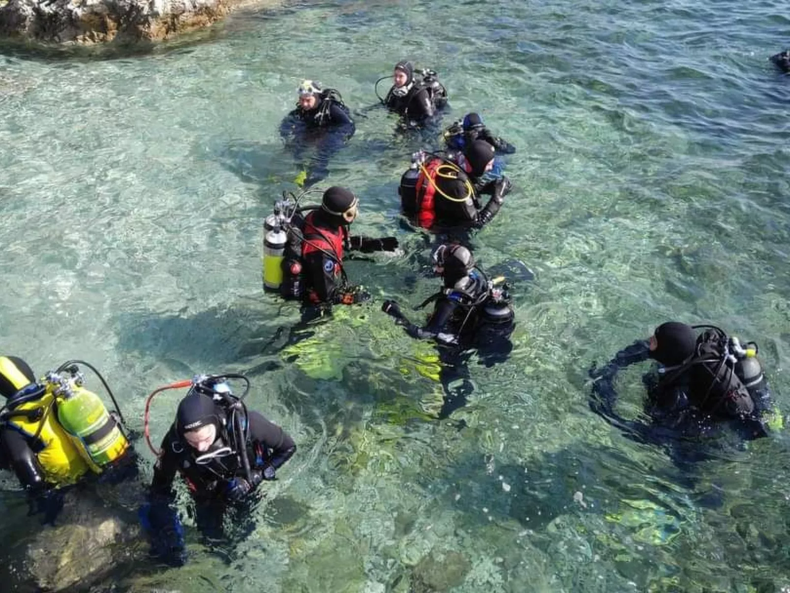 Tiny house Laurel - 70 Meter vom Strand entfernt-Image-tags.info