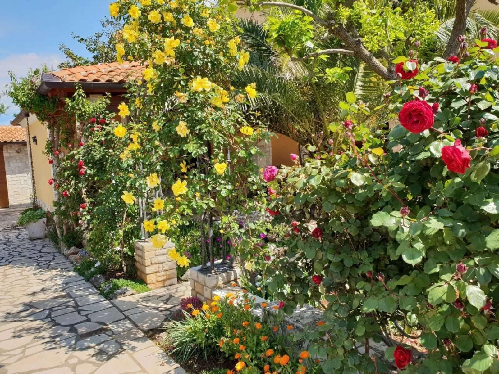 Luxus-App Marin - Terrasse, Garten, Grillplatz, Strandnähe-Outside