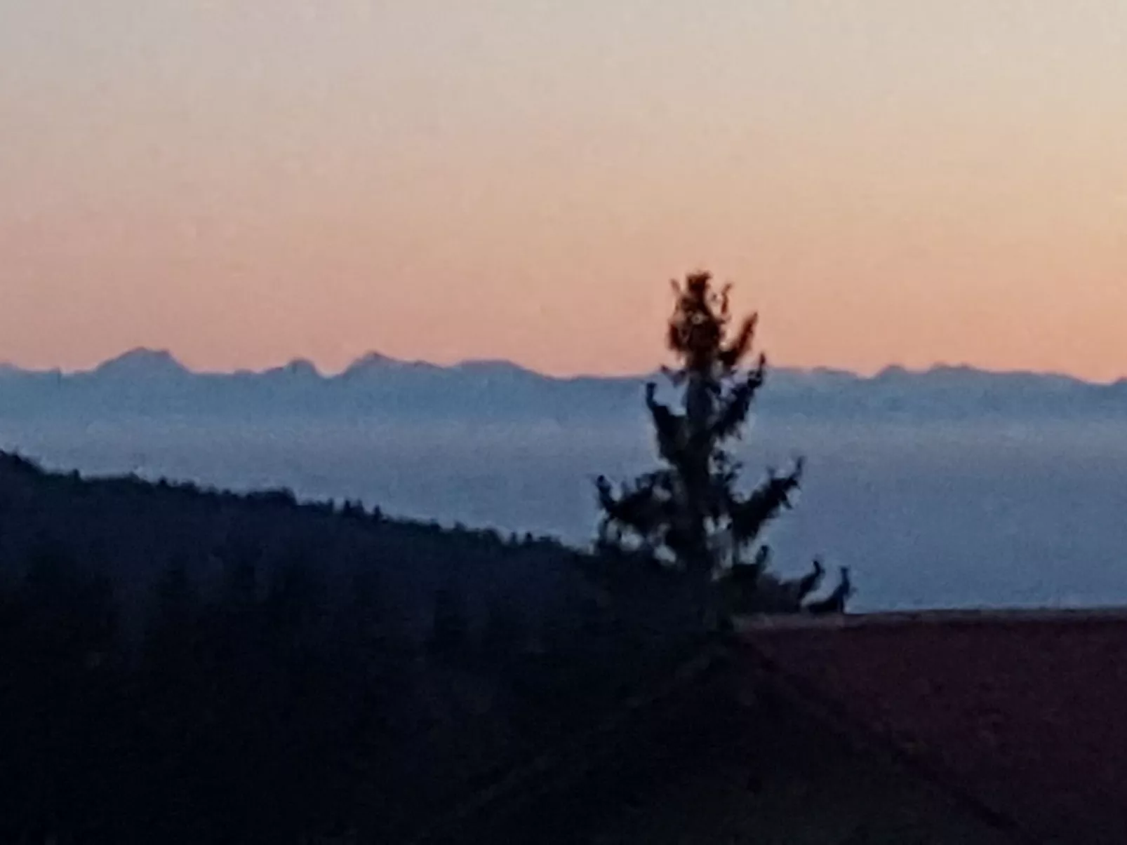 Bayernwald Idyll-Draußen