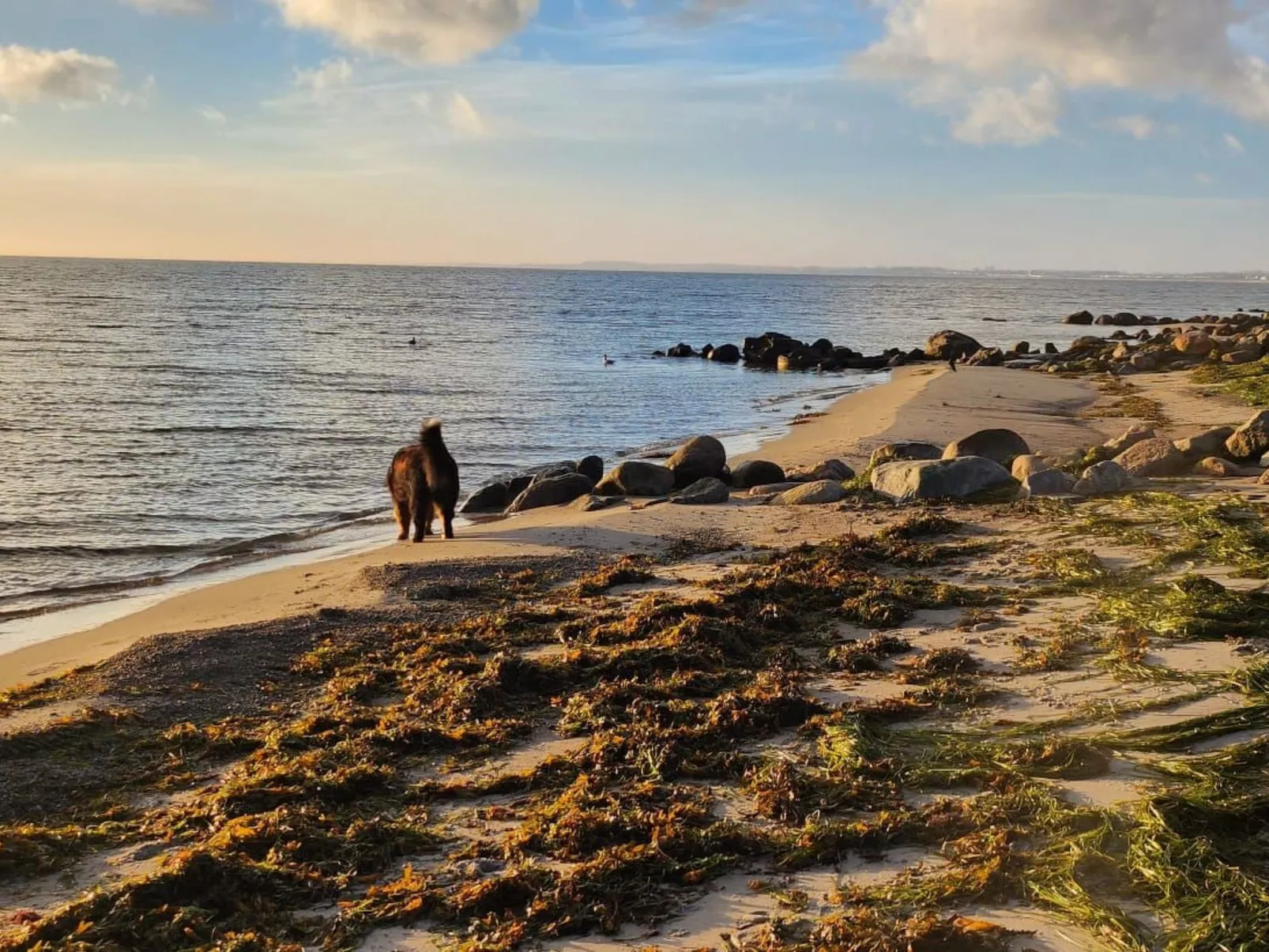 Strandvilla am Meer-Outside