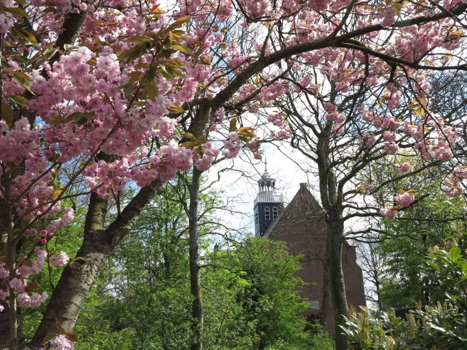 "Windhoos" mit privatem Garten und Terrasse-Outside