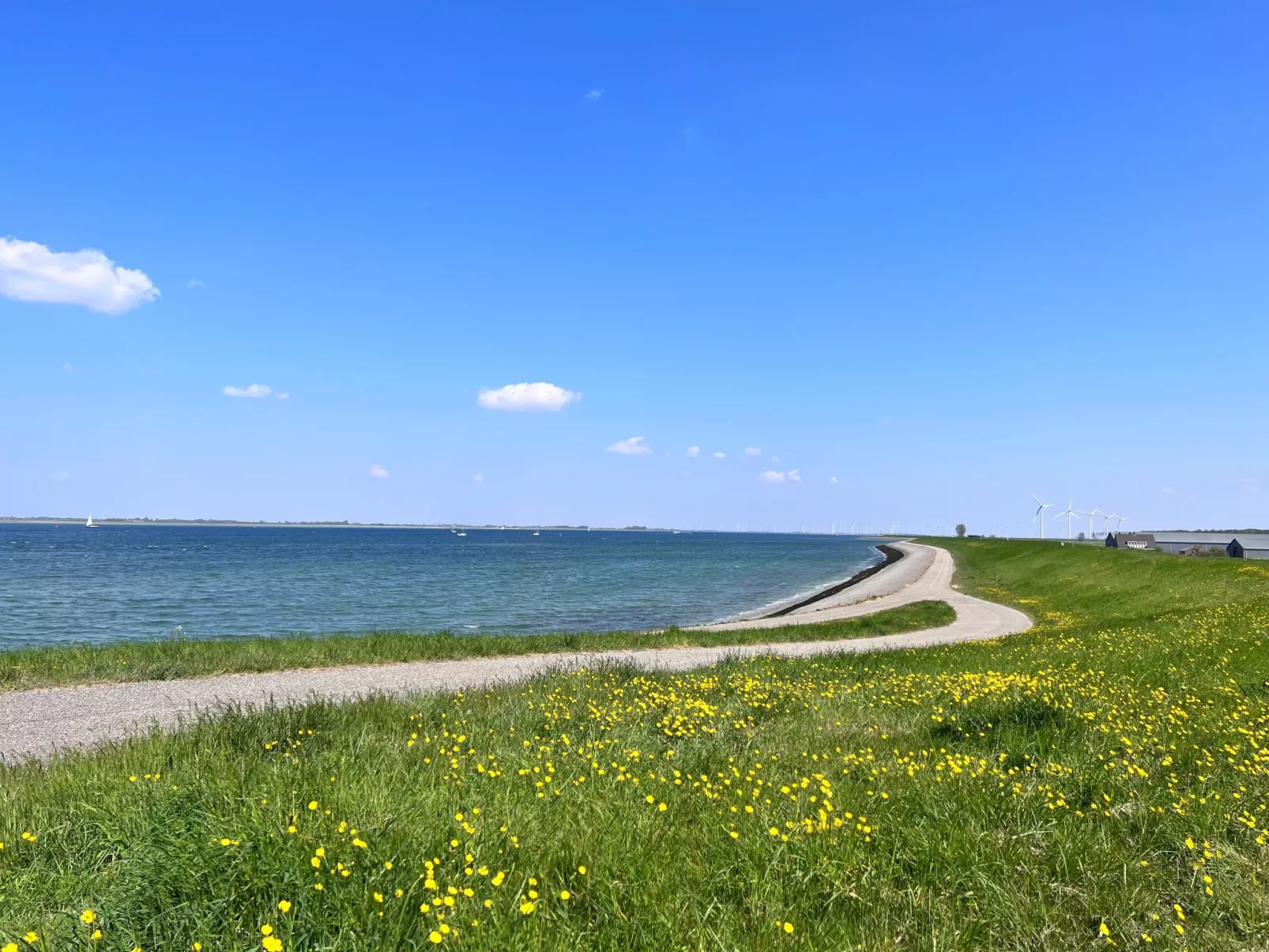 In Stavenisse mit gemütlicher Terrasse-Draußen