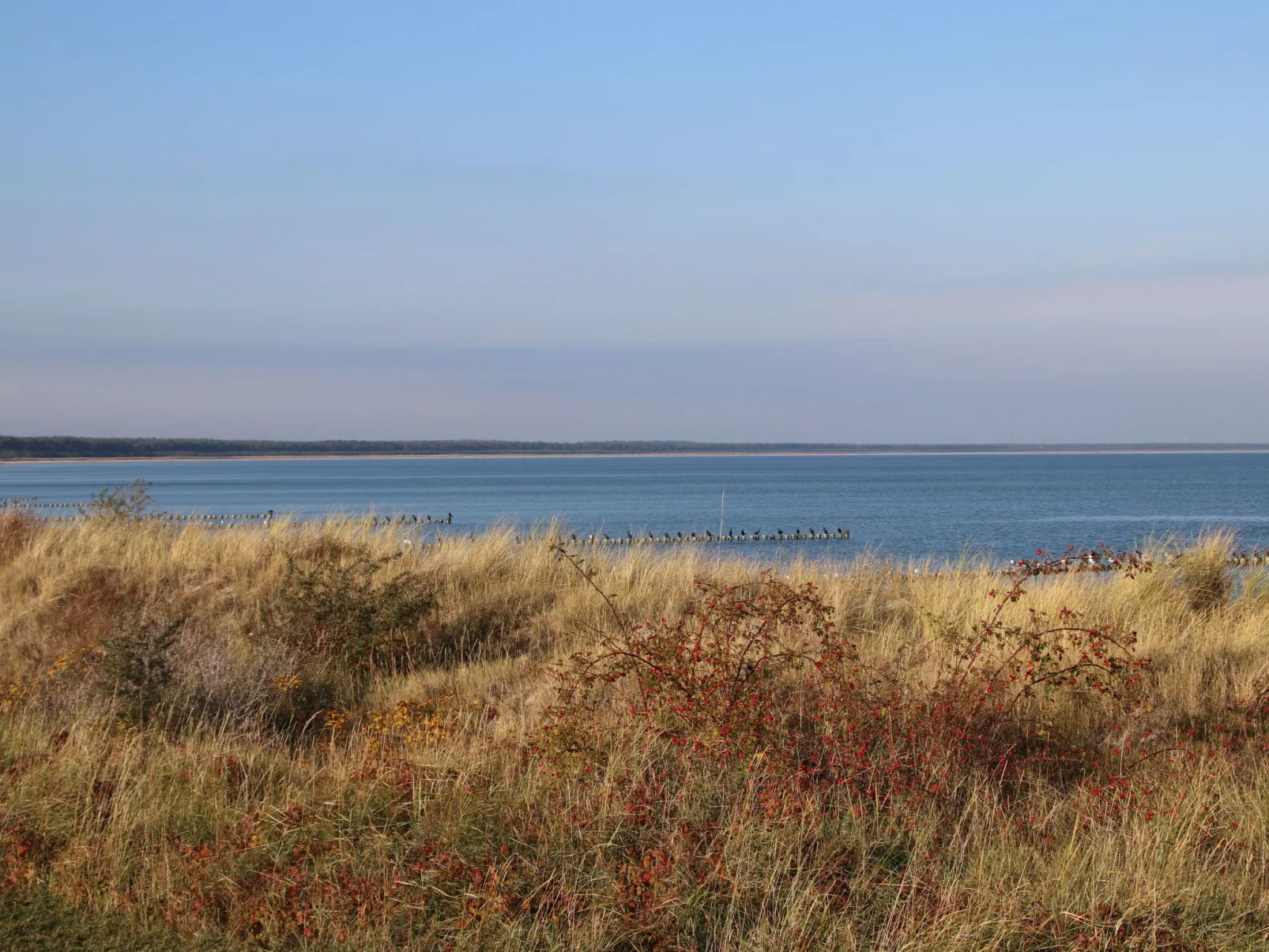 Mit Garten, Sauna, Kamin und Whirlpool-Image-tags.info